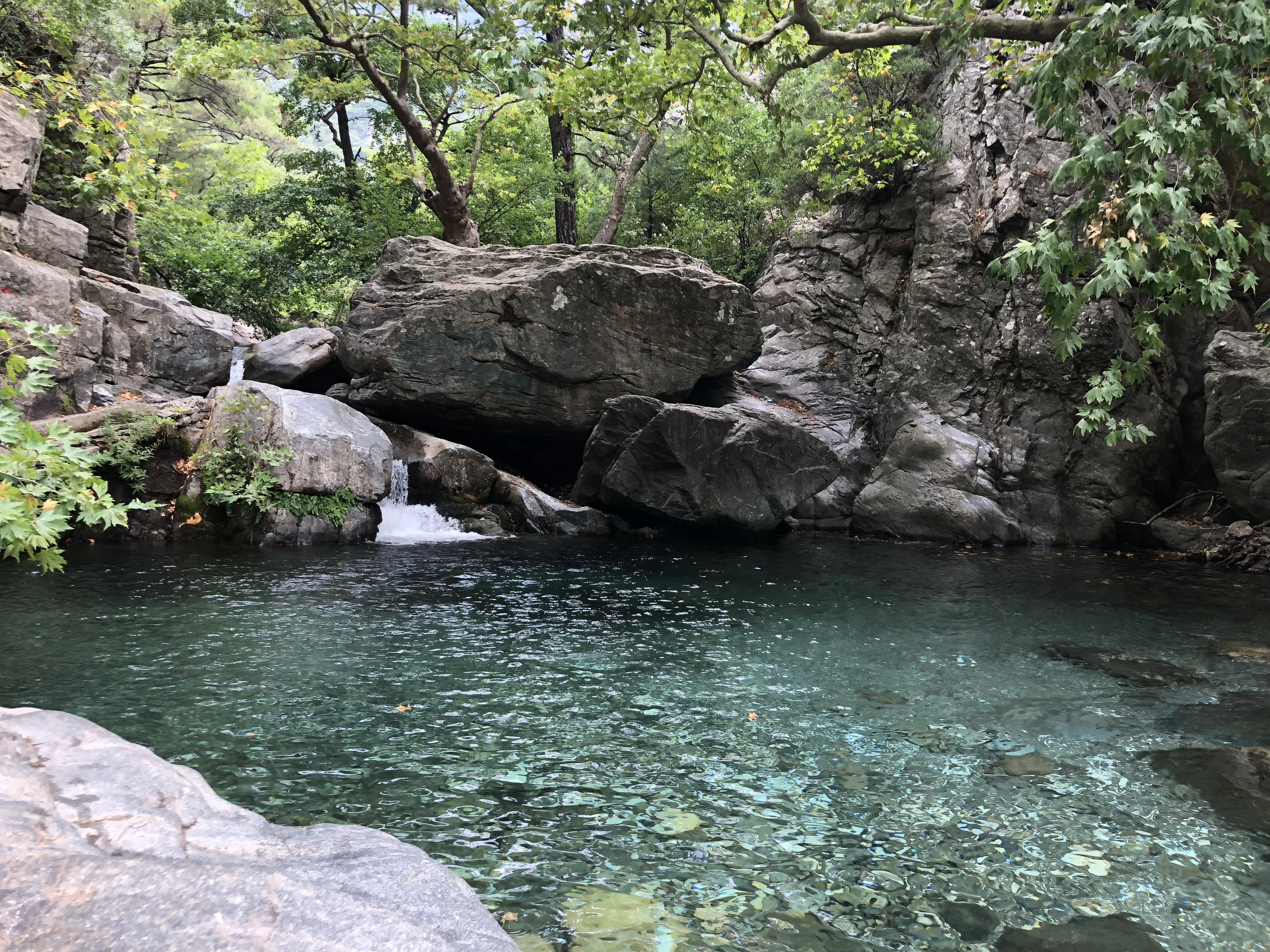 Clear pond with rocky edges and a small waterfall, surrounded by lush green trees and vegetation.