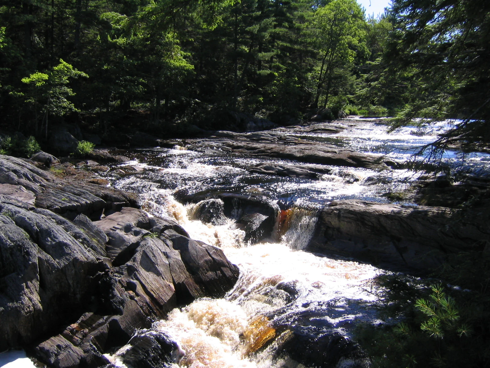 White-water rapids flowing over dark rocks in a forested river scene