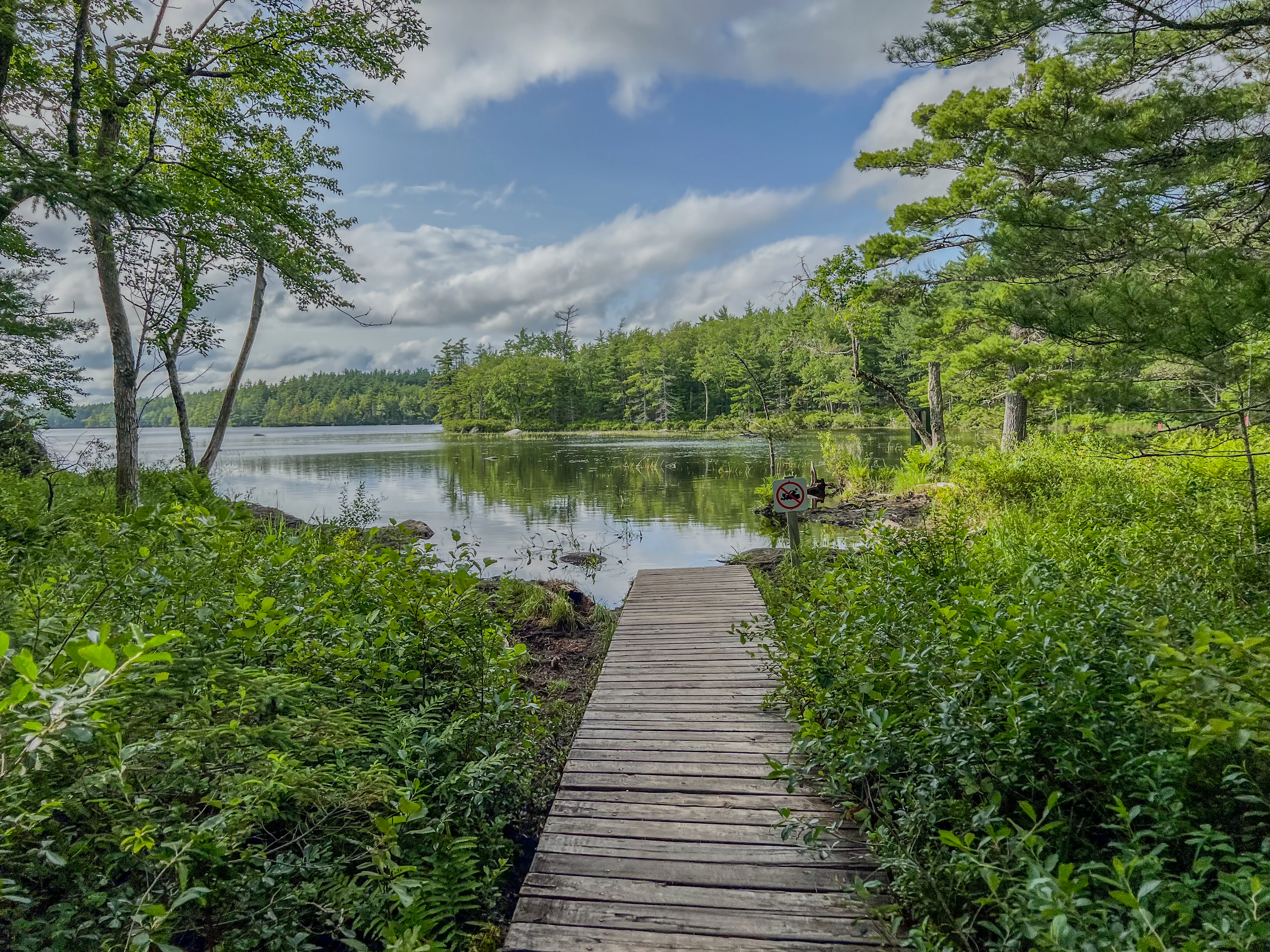 Wooden boardwalk surrounded by dense green foliage leading to a calm lake with forested shoreline under a partly cloudy sky.