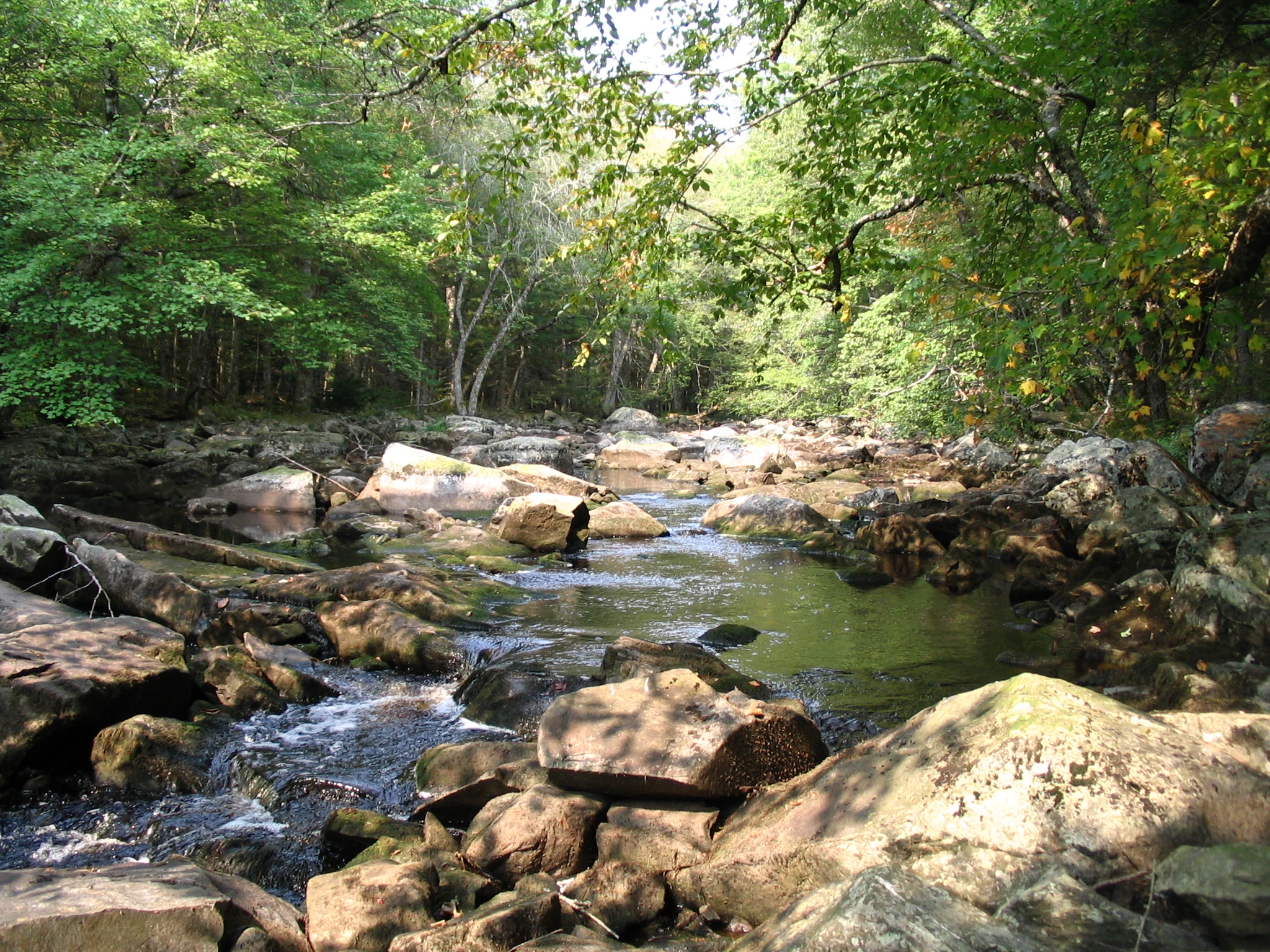 A river with flowing water and large rocks surrounded by forest trees in fall colors
