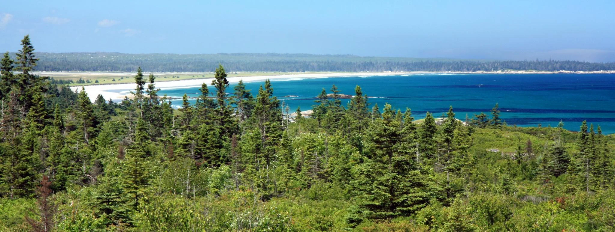Wide view of a coastal landscape with dense evergreen forest in the foreground, a sandy beach, and blue ocean under clear sky