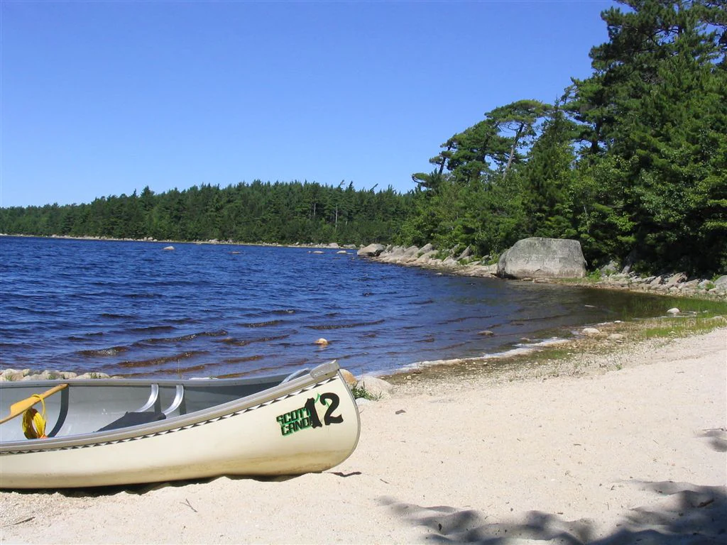 A beige canoe with green markings rests on sandy beach near calm blue water with forested shoreline under clear blue sky.