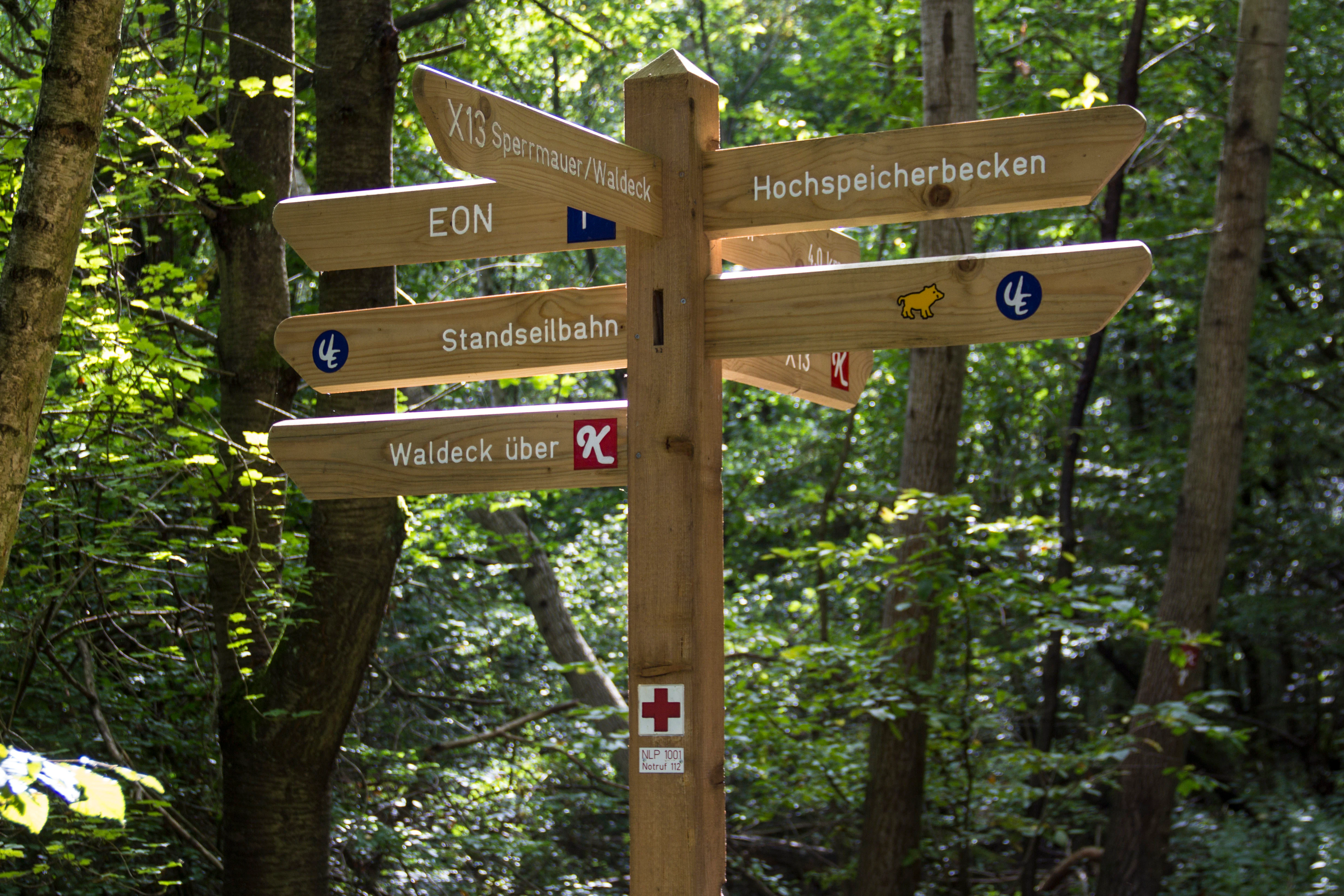 Wooden signpost with multiple directional signs pointing to locations including EON, Standselbahn, Waldeck über, Hochapeicherbecken, and XTS Sparschwein, set against a forest background