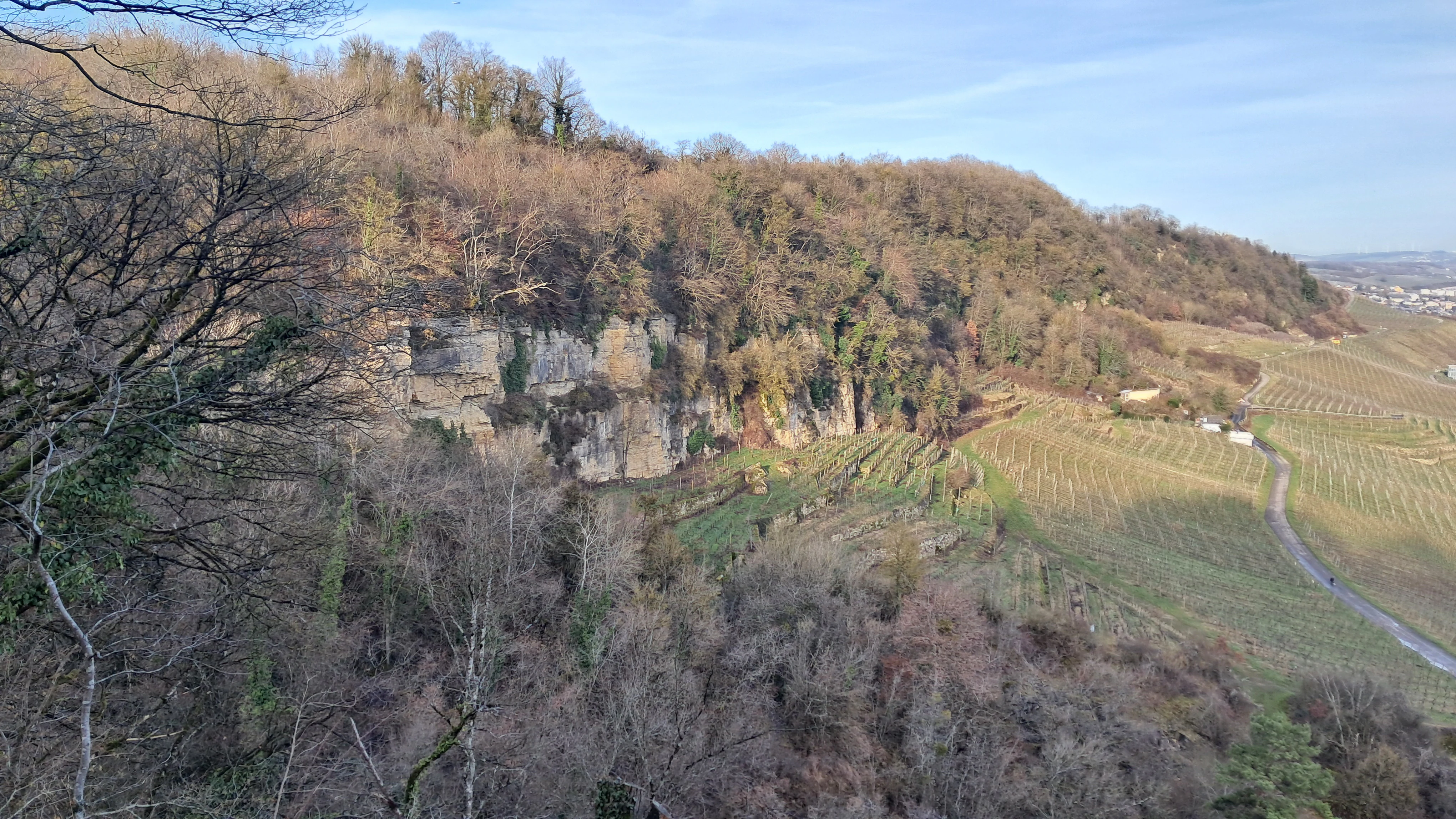 A wide view of a forested hillside with exposed rocky cliffs in the Naturschutzgebitt Kelsbaach nature reserve, with terraced vineyards visible on the side.