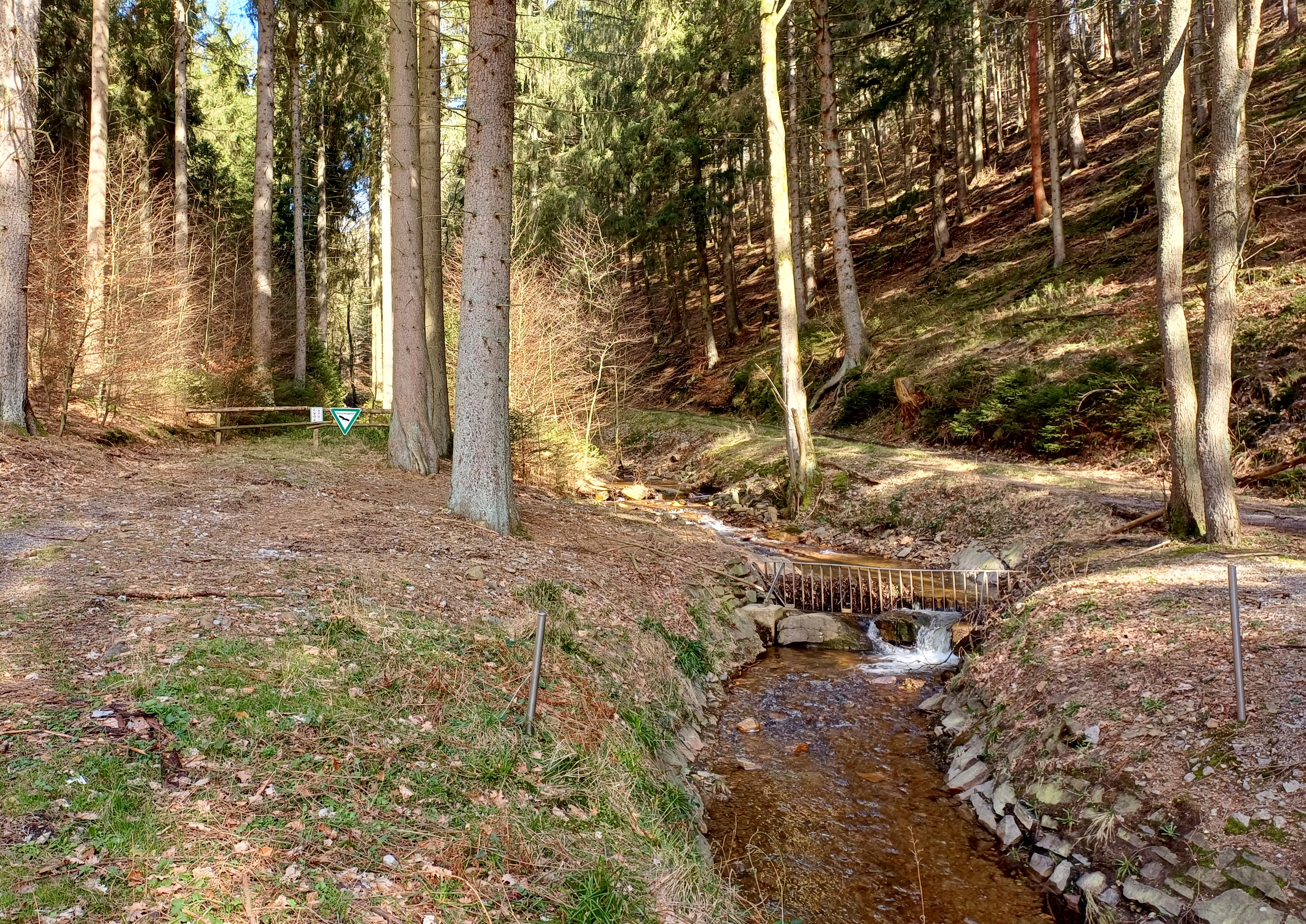 Un pequeño y estrecho arroyo que fluye sobre piedras a través de una zona boscosa con árboles altos y suelo cubierto de hojas en Kelzer- und Saarscher Bachtal.