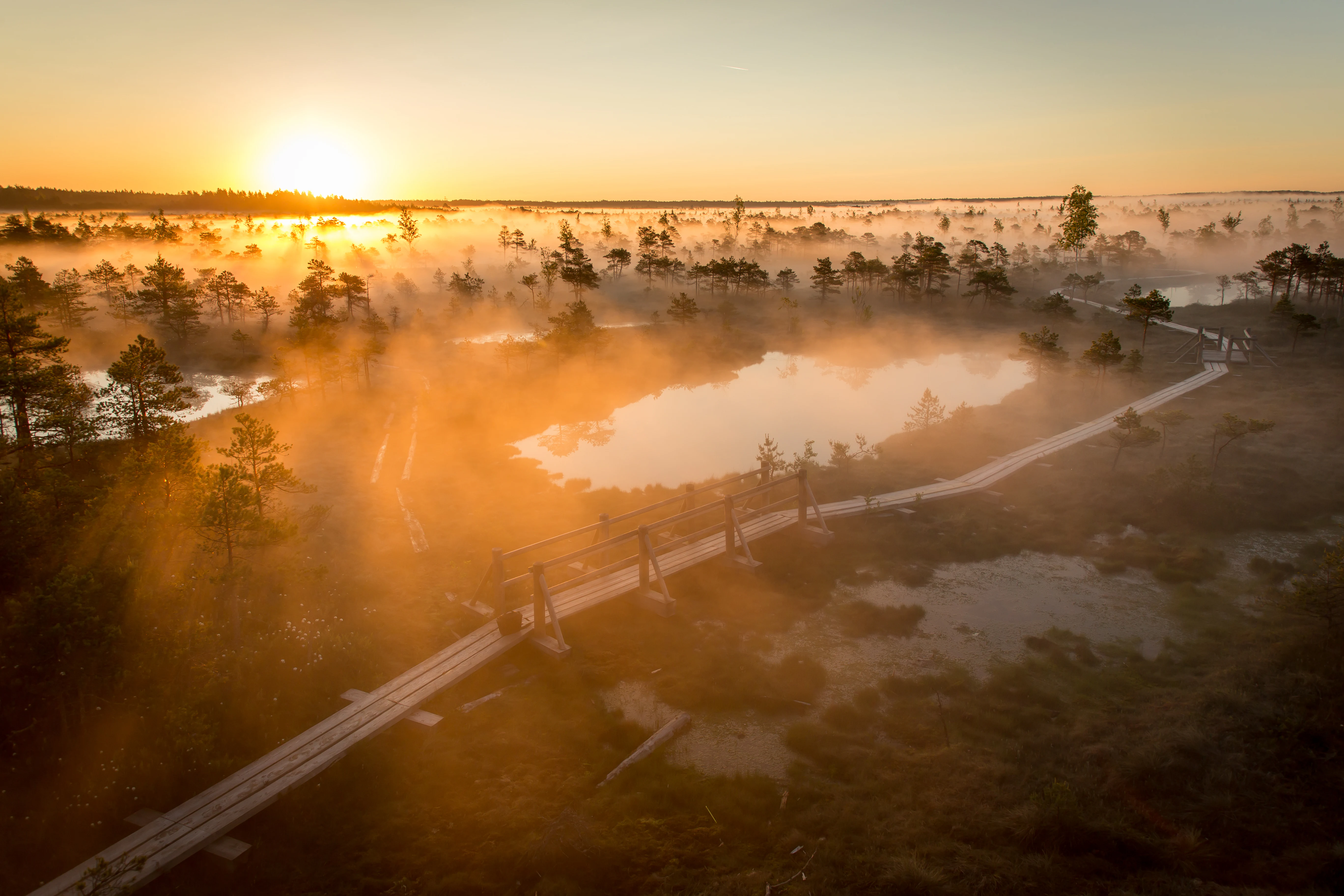 Aerial view of a boardwalk trail through a bog landscape with mist, trees, and a setting sun