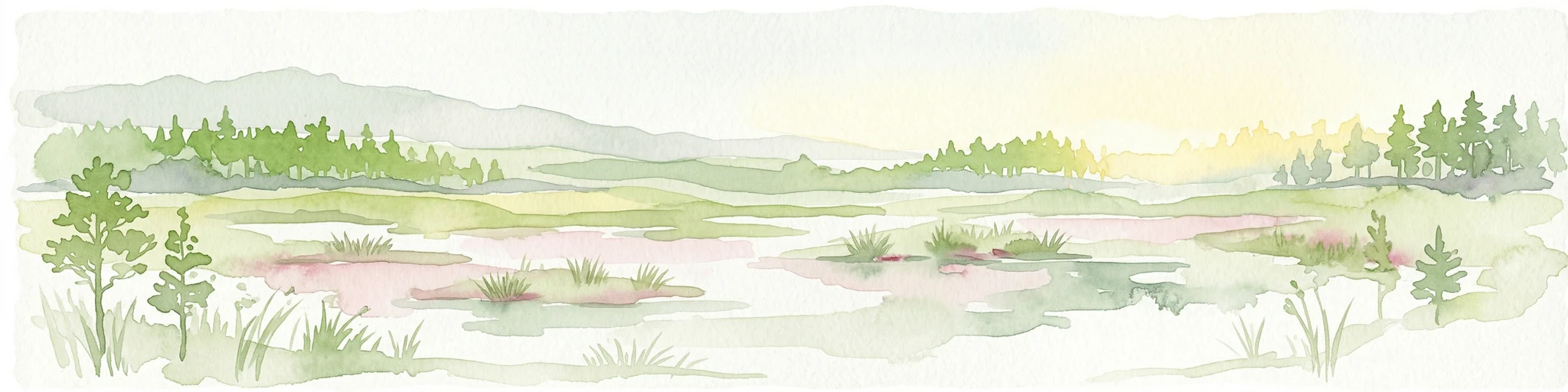 Ilustración en acuarela que muestra un paisaje pantanoso con bosques y colinas distantes bajo un cielo suave.