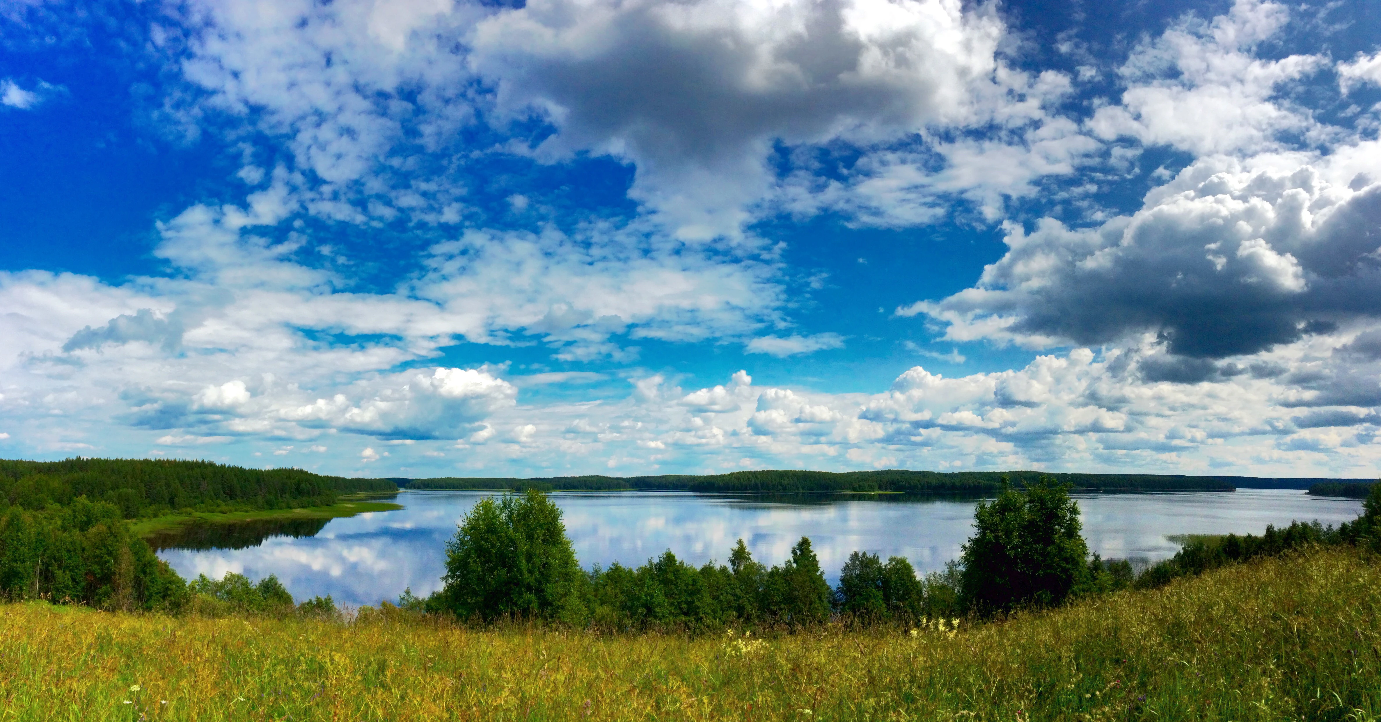 Una vista panorámica y escénica del lago Kenozero en Rusia, con prados herbosos en primer plano, un lago reflectante en el centro y un denso bosque a lo largo de la orilla lejana bajo un cielo azul brillante con nubes blancas dispersas.