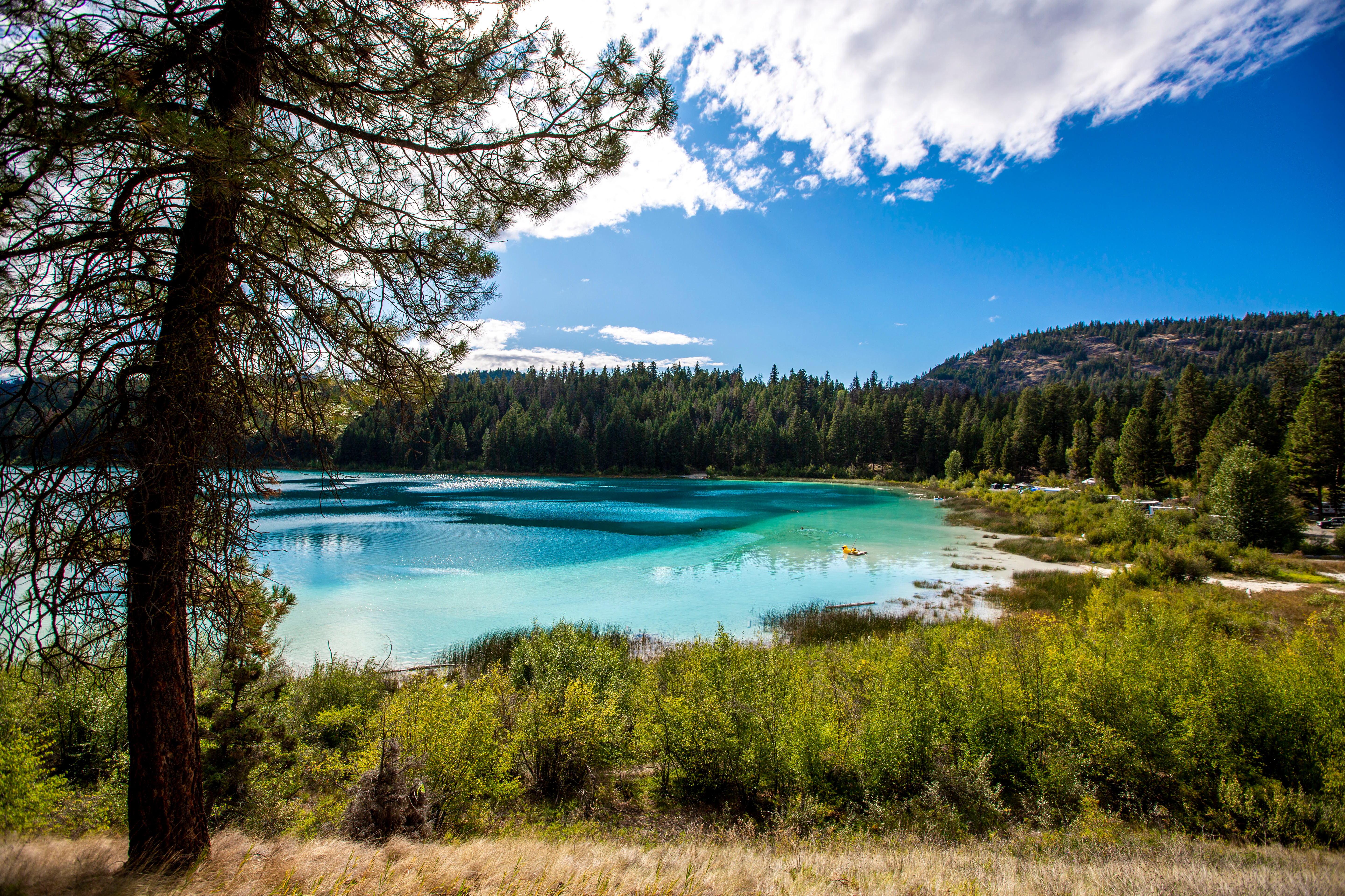 A bright, sunny view overlooking a turquoise lake surrounded by dense evergreen trees and golden-green vegetation.