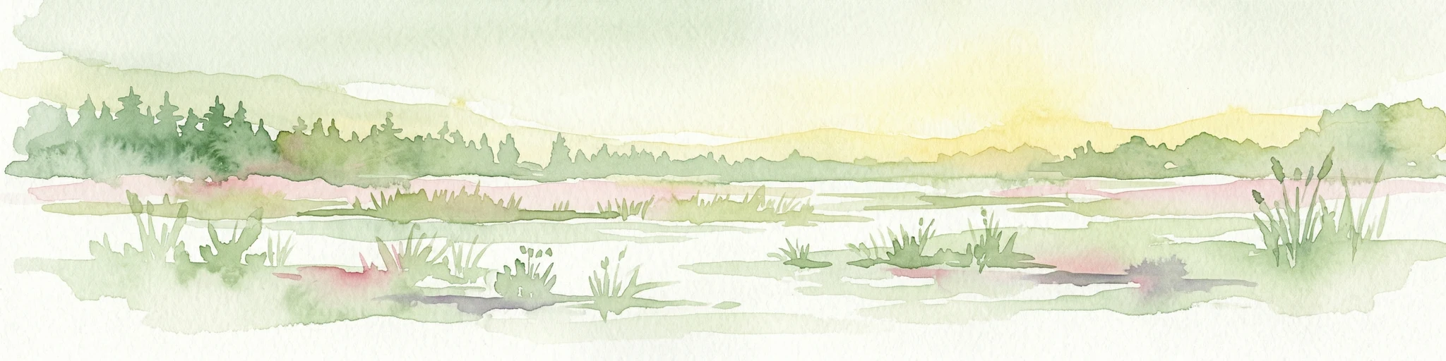 Ilustración en acuarela de un paisaje de humedal con pastos, árboles y una puesta de sol