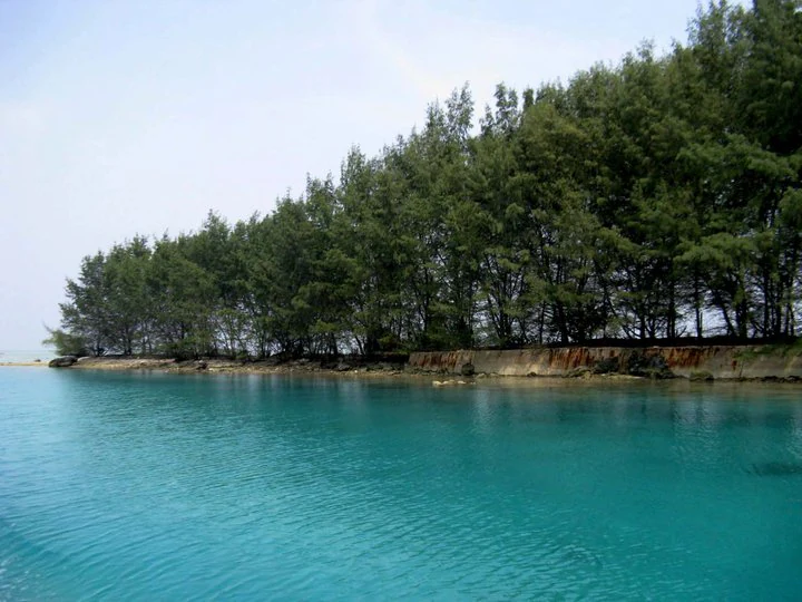 Turquoise water with dense green trees along the shoreline under a clear sky