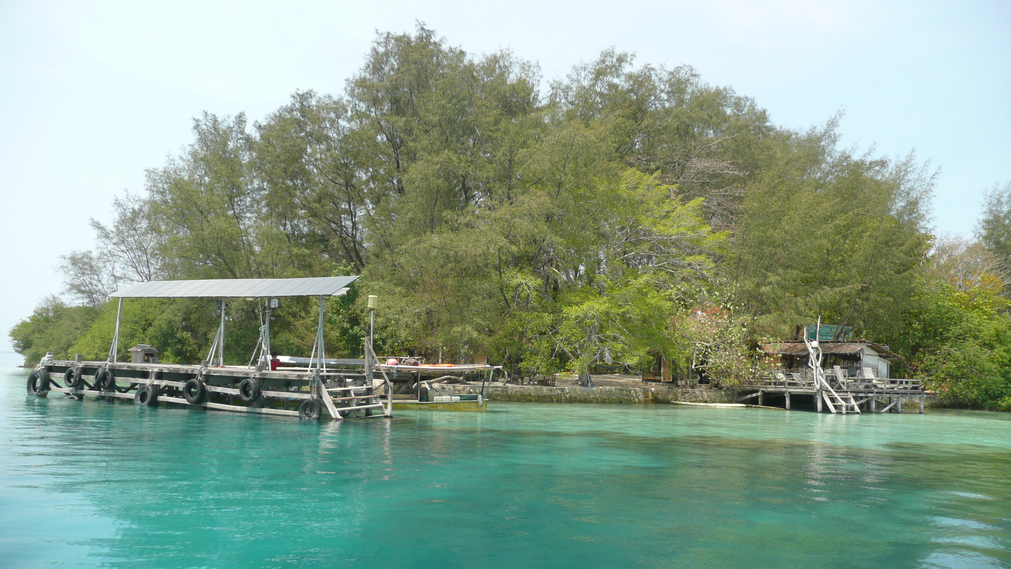 Wooden pier extending into turquoise water with dense green trees on a small island