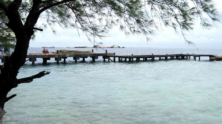 Wooden pier extending over calm turquoise water with a tree branch in the foreground and one person visible on the pier