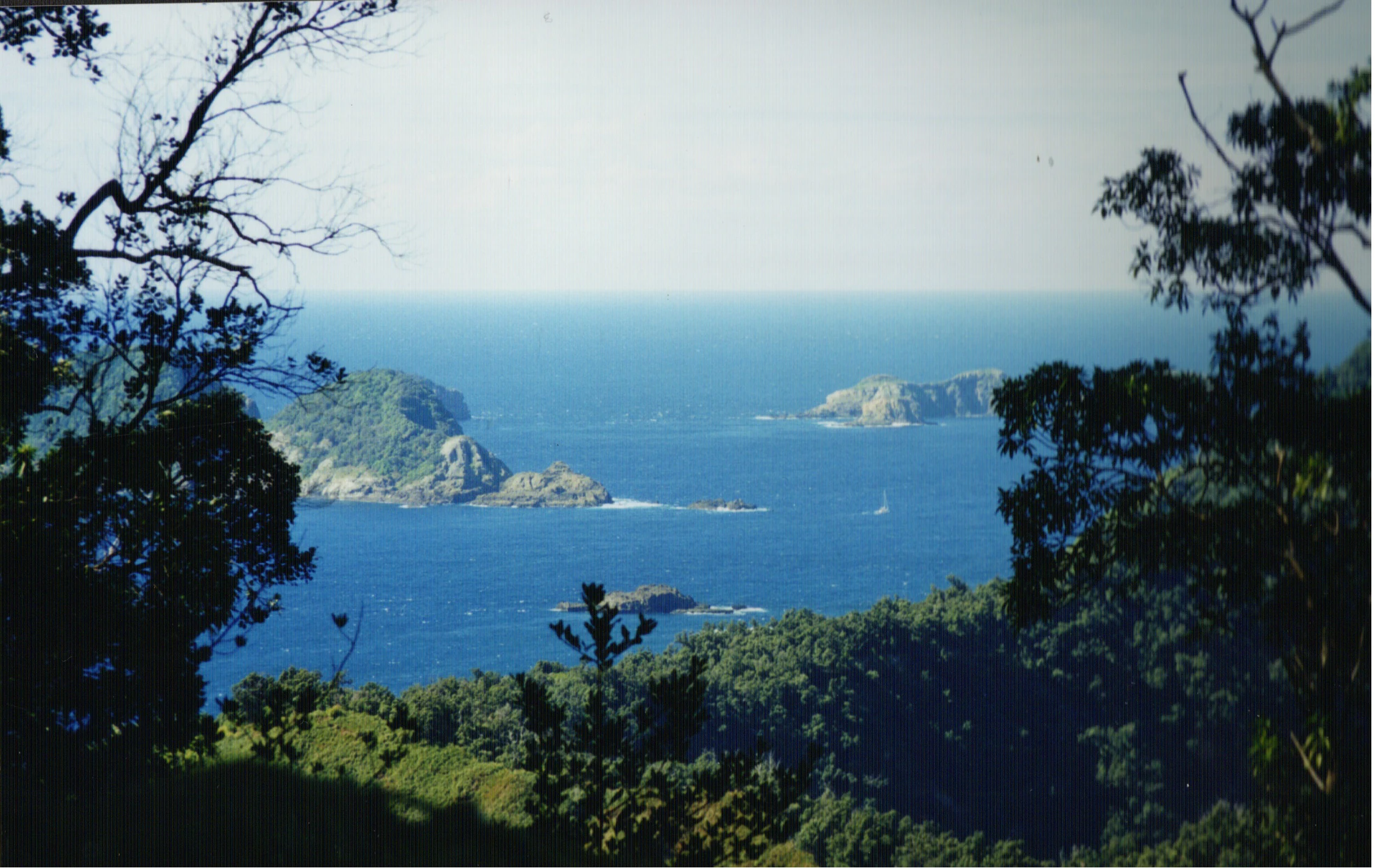 A distant view of several small, rugged islands rising from the deep blue ocean, framed by dark foreground trees and lush coastal vegetation.