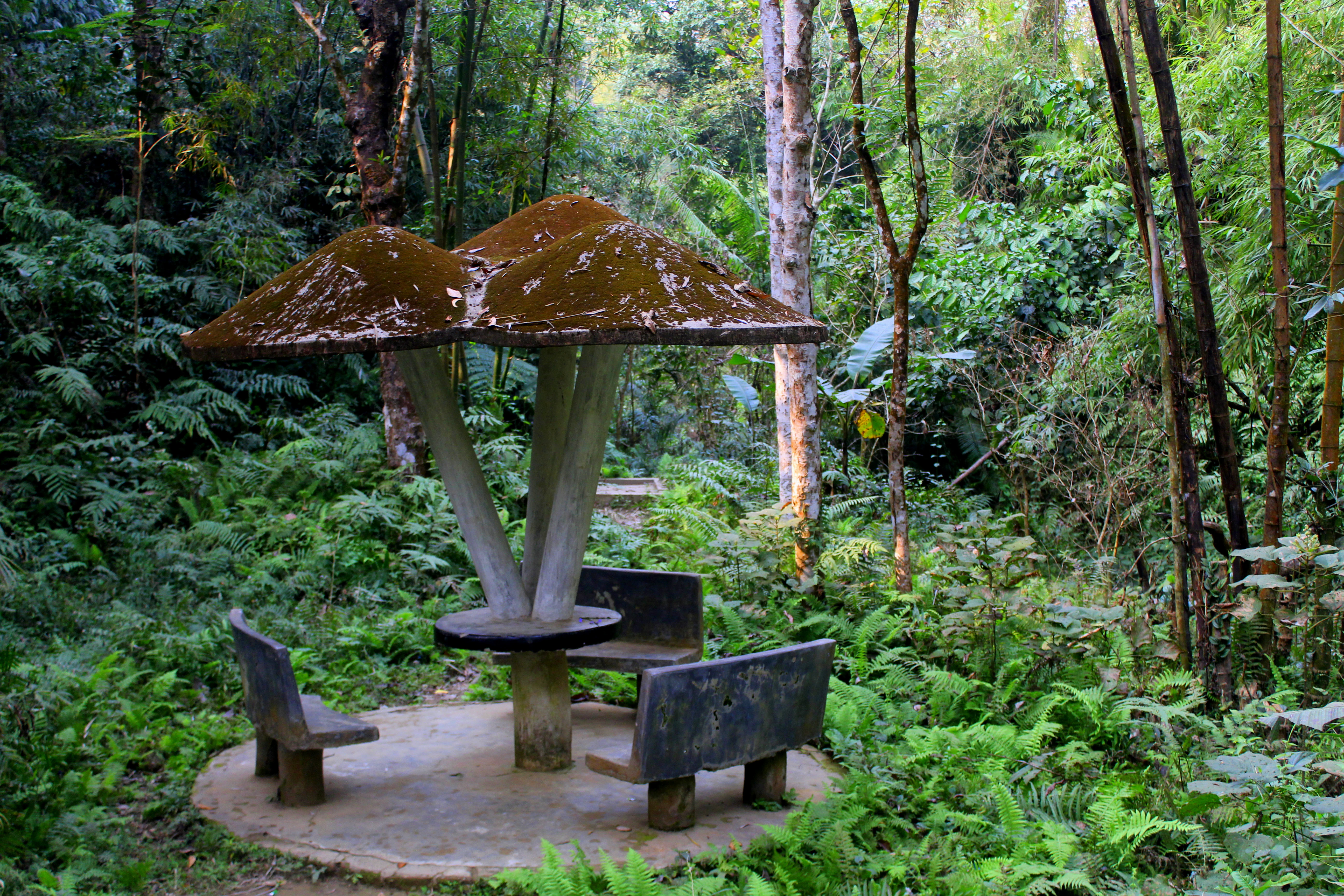 Mushroom-shaped bench with two attached seats in a forested area with dense greenery