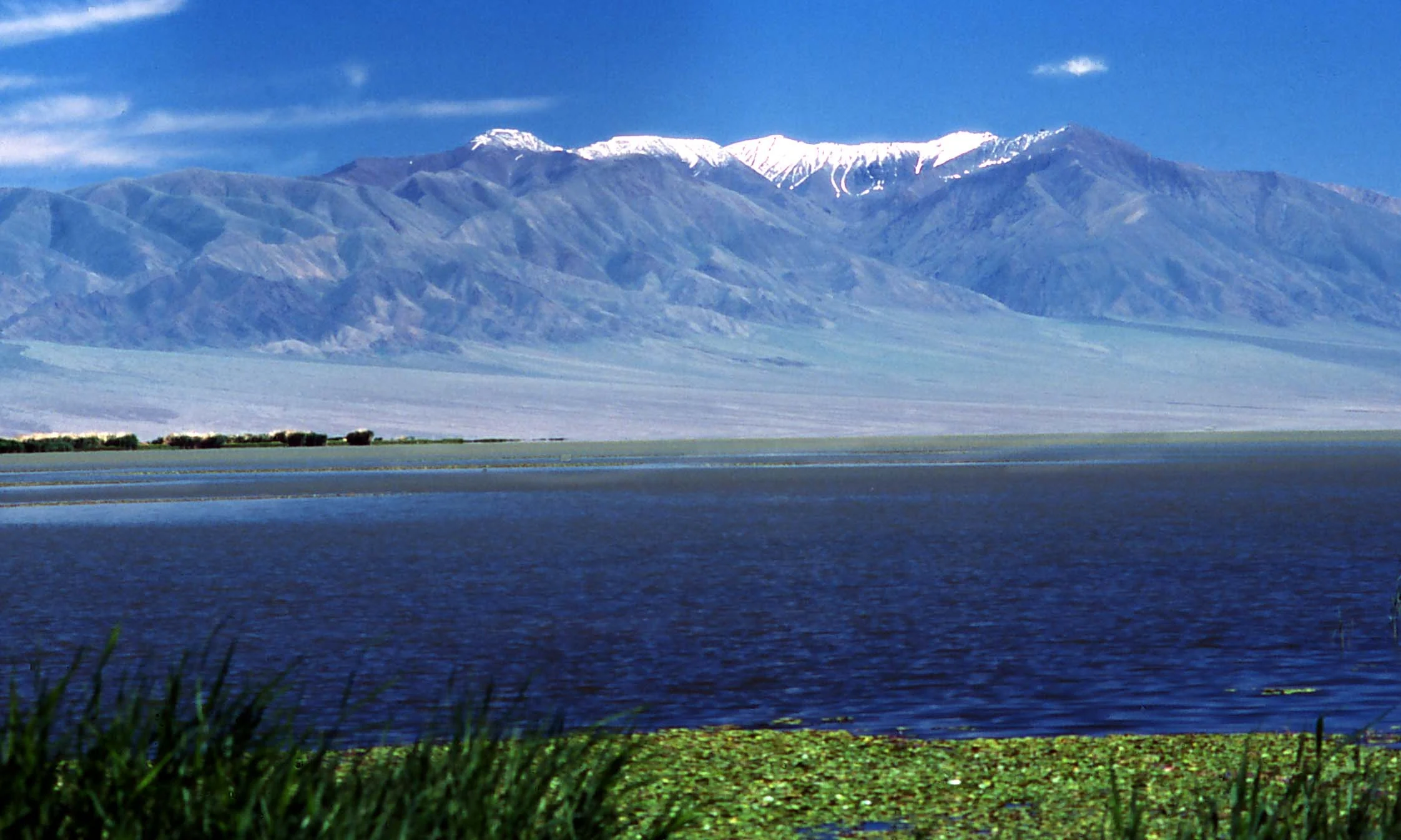 A wide view of a large, dark blue lake in the foreground with a tall, snow-capped mountain range in the background under a clear sky.