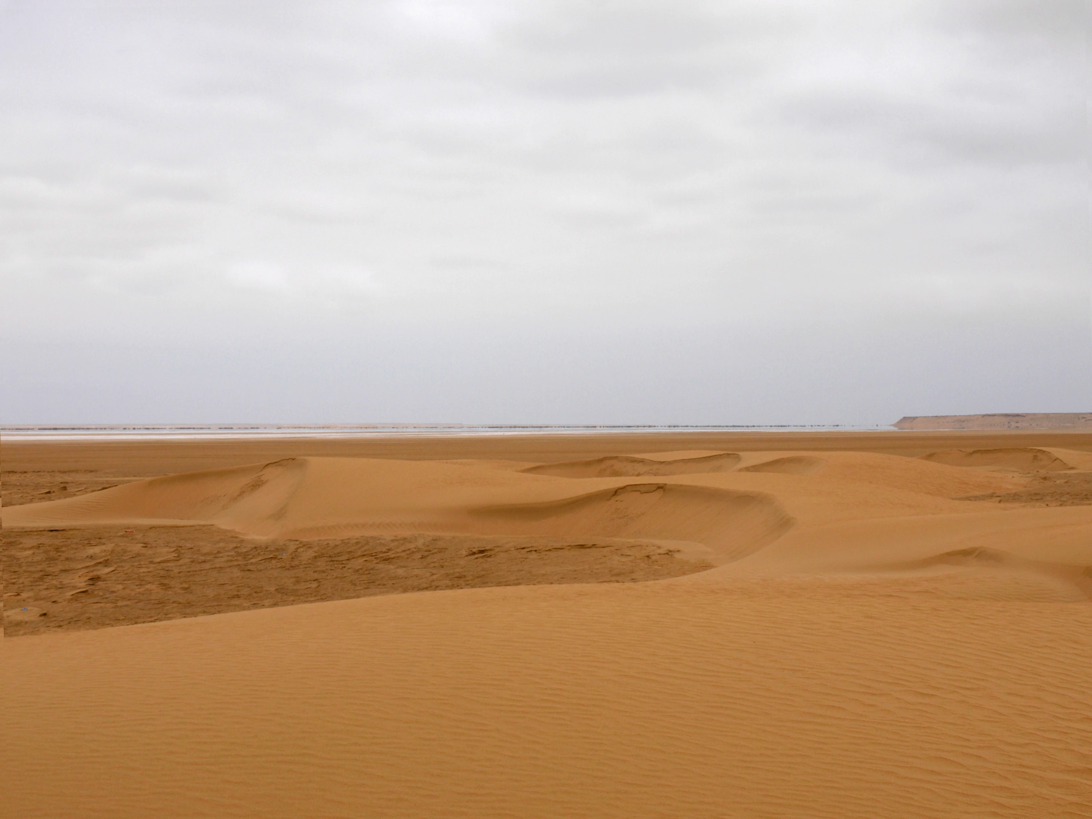 A wide view of golden sand dunes extending to the Atlantic Ocean under an overcast sky
