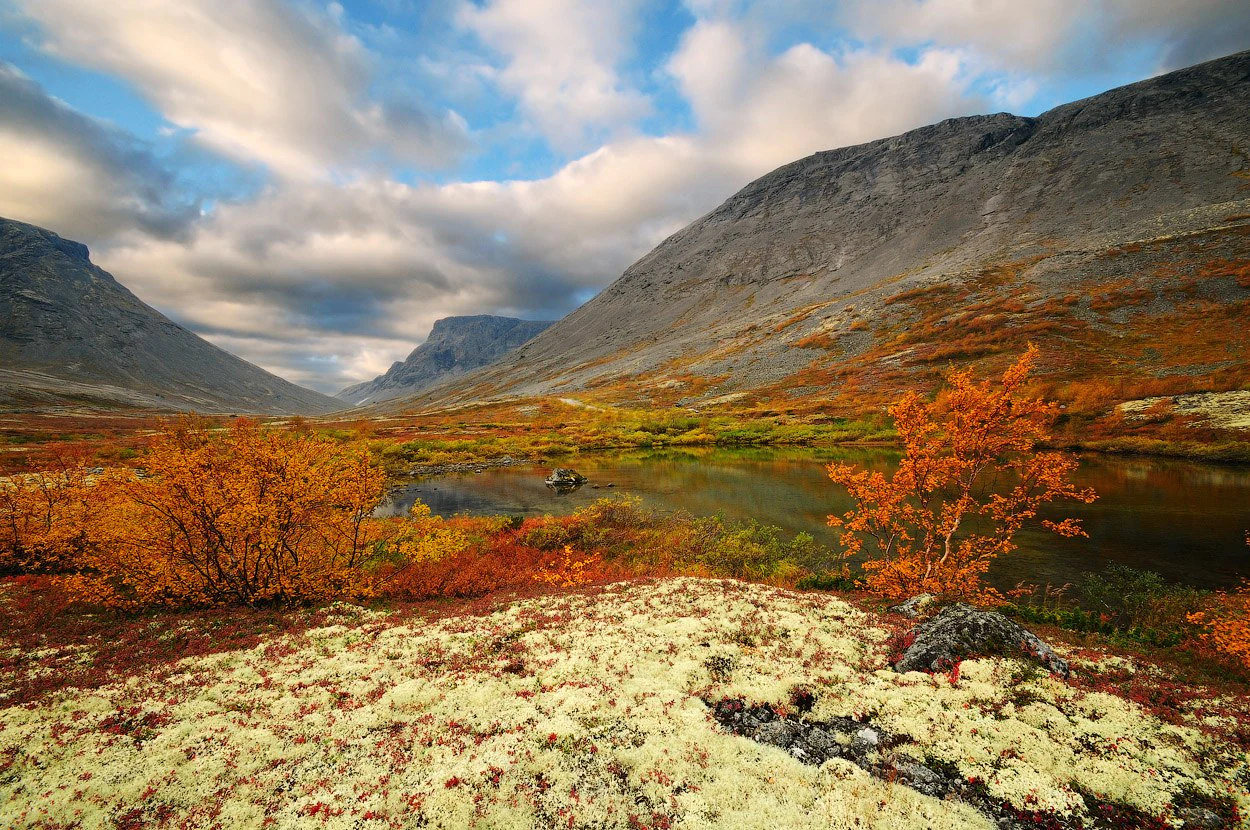 Landscape with mountains, autumn-colored trees, a lake, and cloudy sky