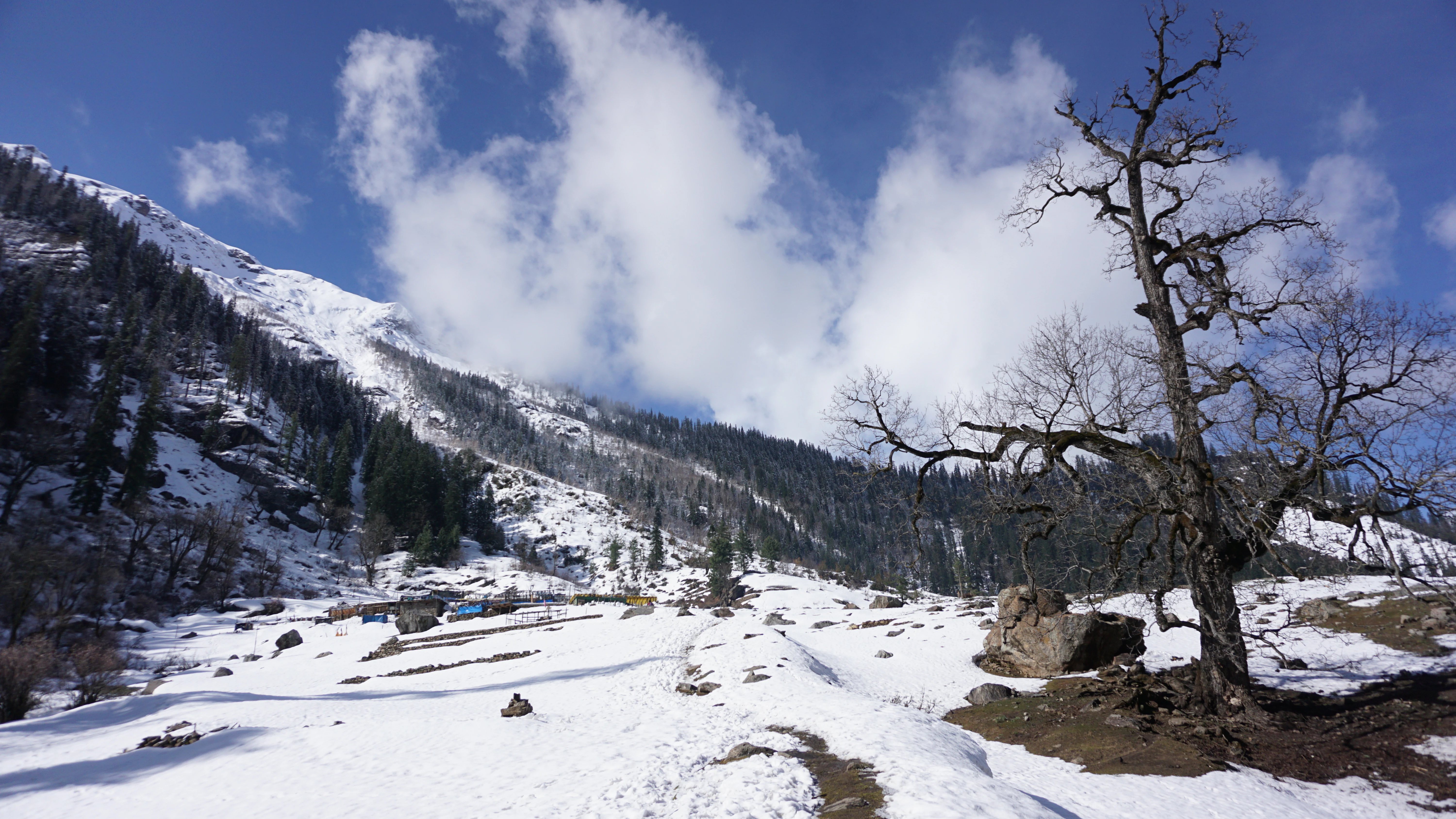 Snow-covered mountains and valley with a leafless tree under a partly cloudy blue sky
