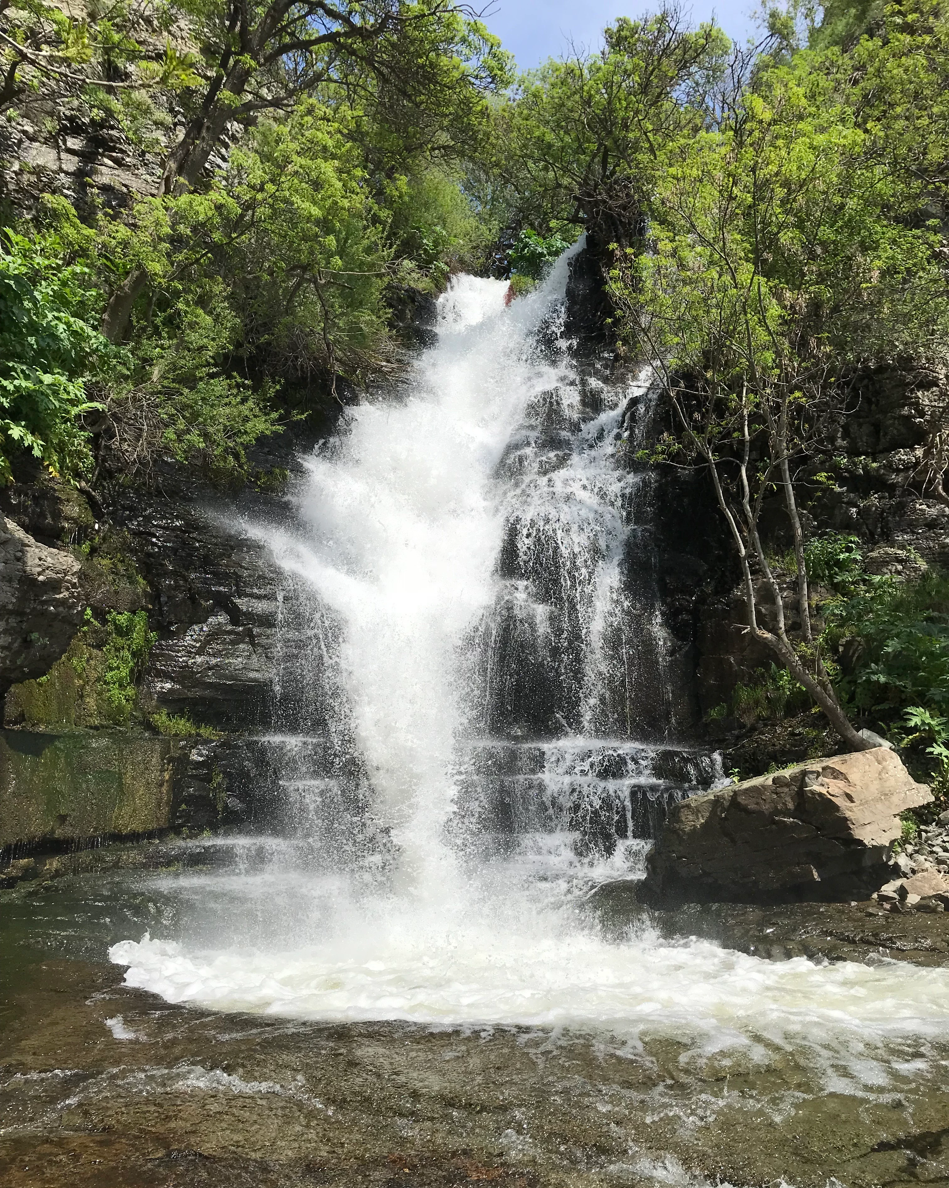 A medium shot of a cascading waterfall flowing over dark, layered rock cliffs surrounded by lush green trees.