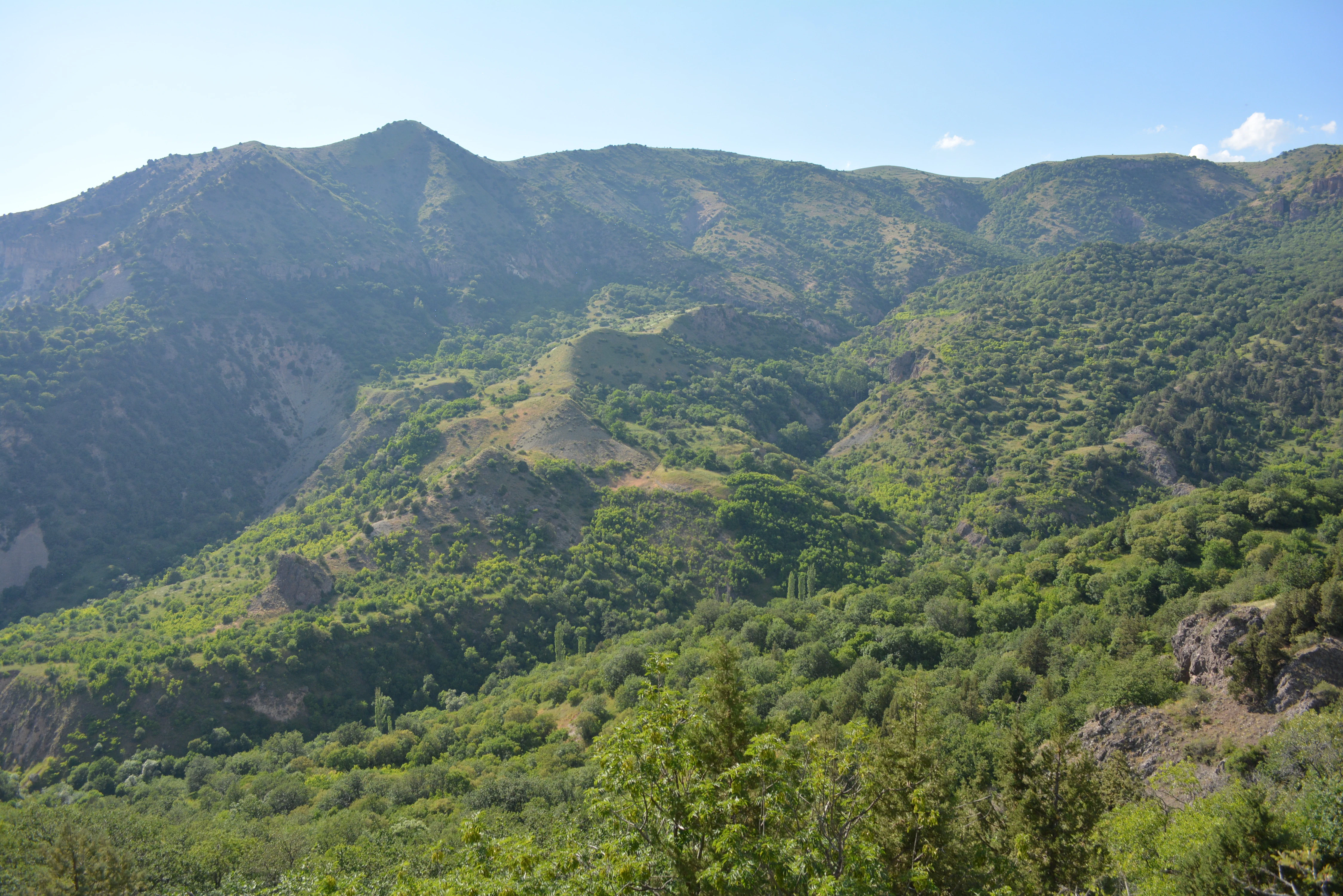 A mountainous landscape with dense green forests covering rolling hills and slopes under a clear blue sky.