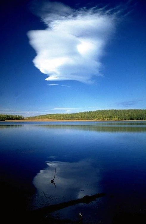 A wide, vertical shot of a calm, deep blue lake under a clear blue sky, featuring a large, singular white lenticular cloud near the top and its reflection in the water below. A distant treelined shore borders the lake, and a dark, partially submerged branch is visible in the foreground water.