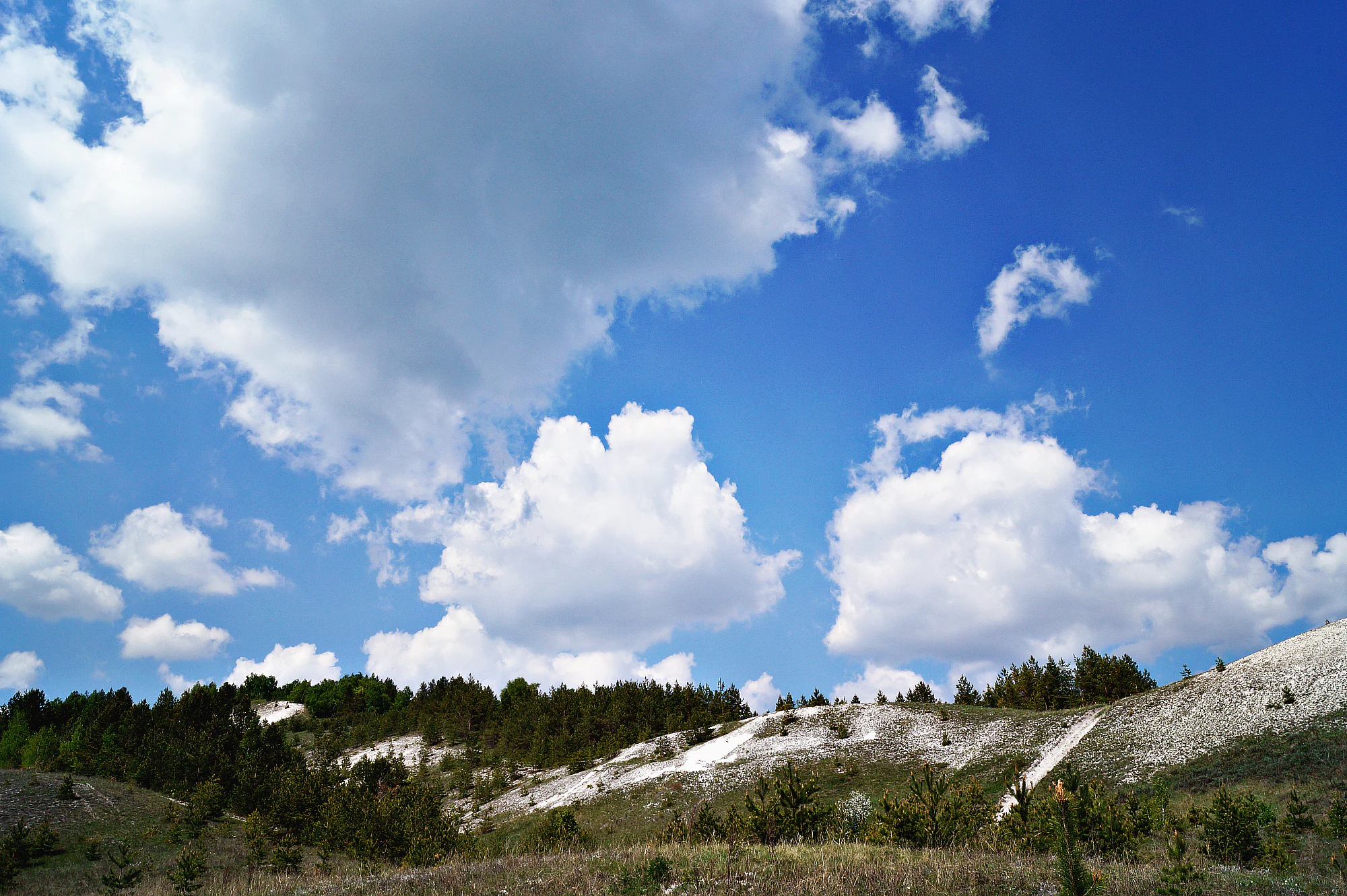 Chalk hill with patches of white rock, forested base, and blue sky with white clouds