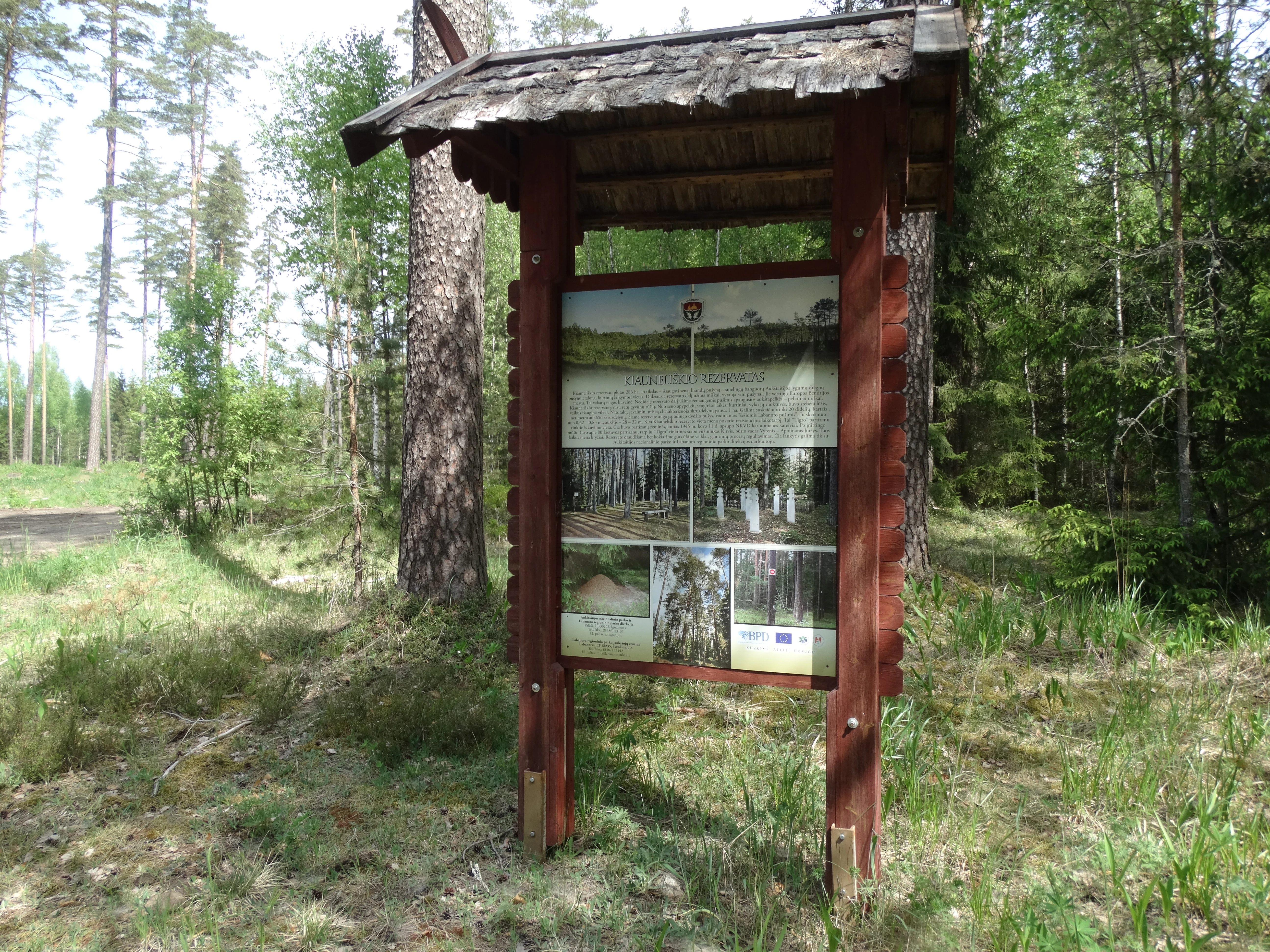 A wooden informational sign with a thatched roof standing in a Lithuanian pine forest.
