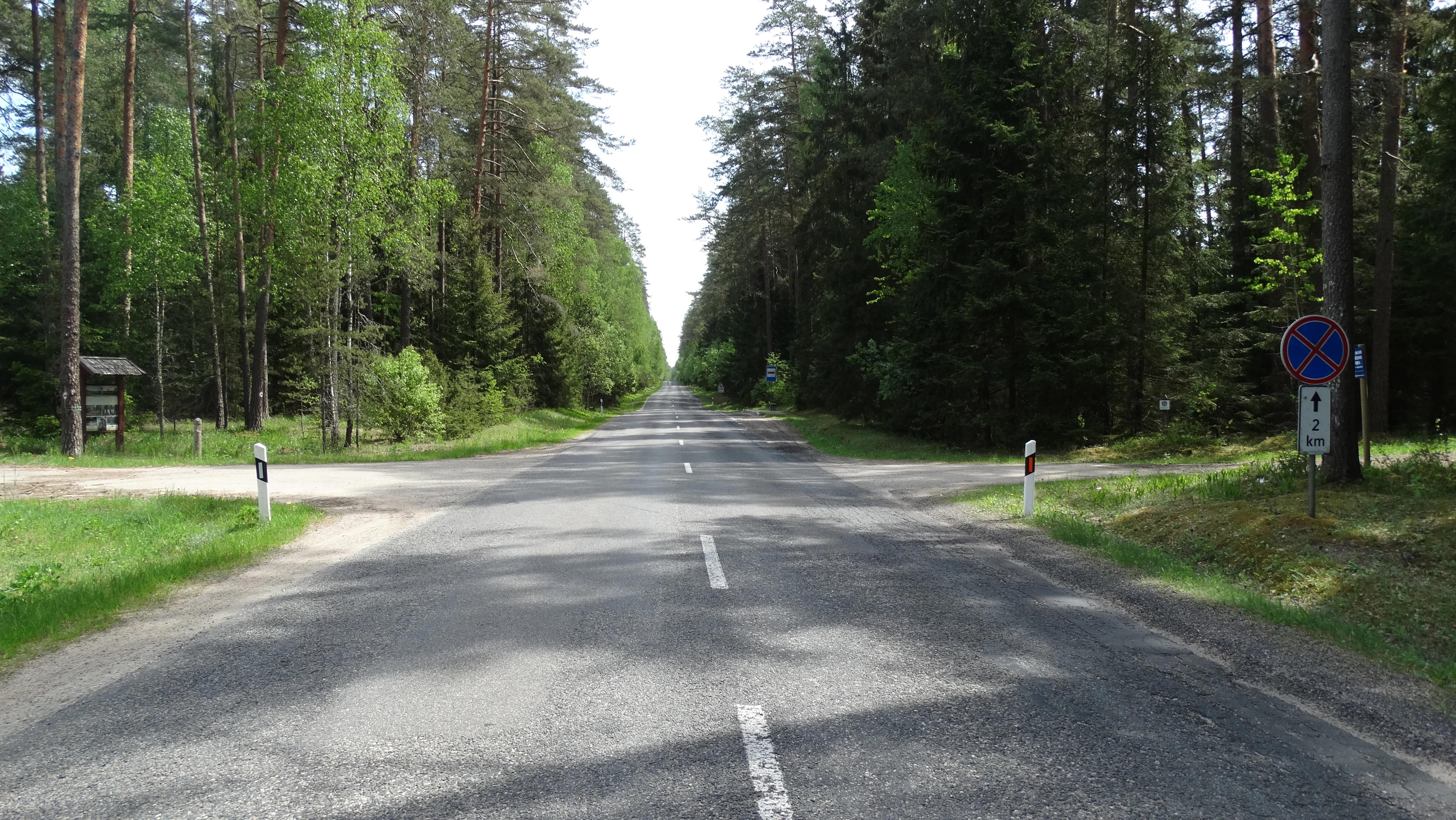 A paved two-lane road stretching into the distance, framed on both sides by tall pine trees within a nature reserve, with a small crossroads and traffic signage visible.