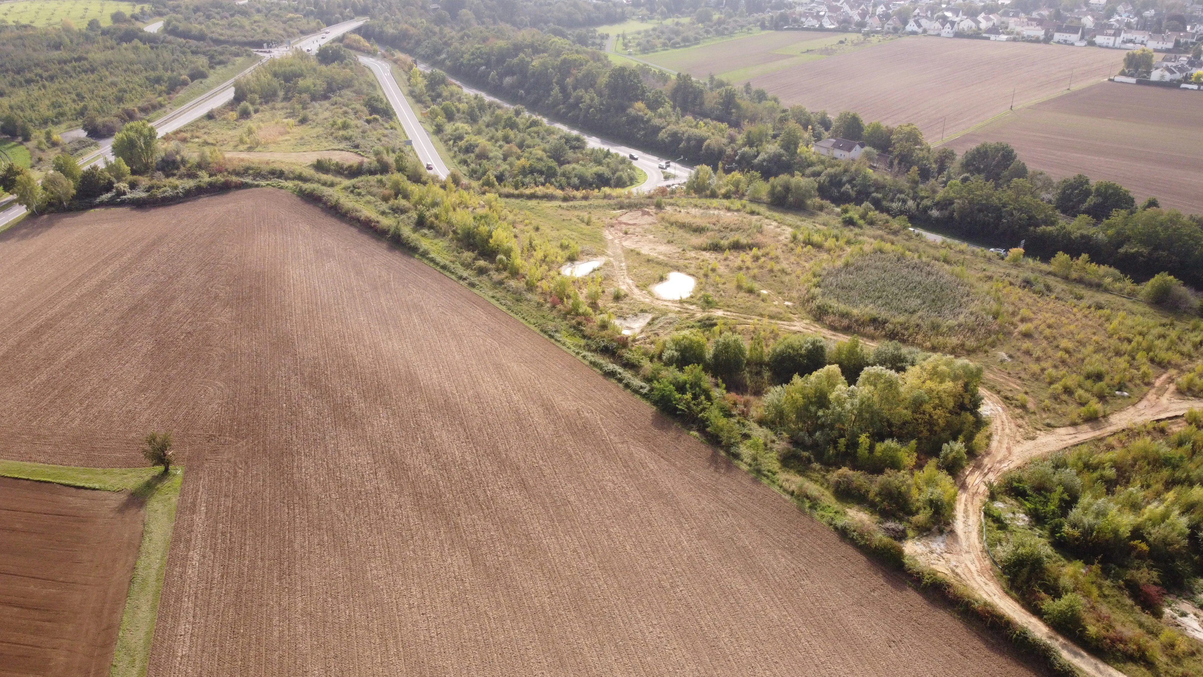 An aerial view showing a patch of natural landscape with shrubs, small ponds, and trees surrounded by larger agricultural fields and a nearby road.