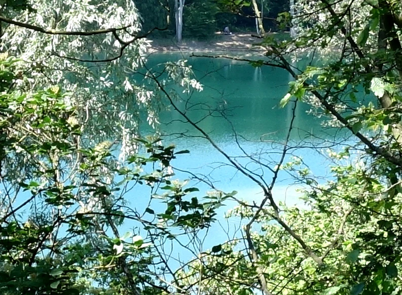 Un lago de color turquesa rodeado de árboles y vegetación, visto a través de las ramas desde una posición ligeramente elevada.