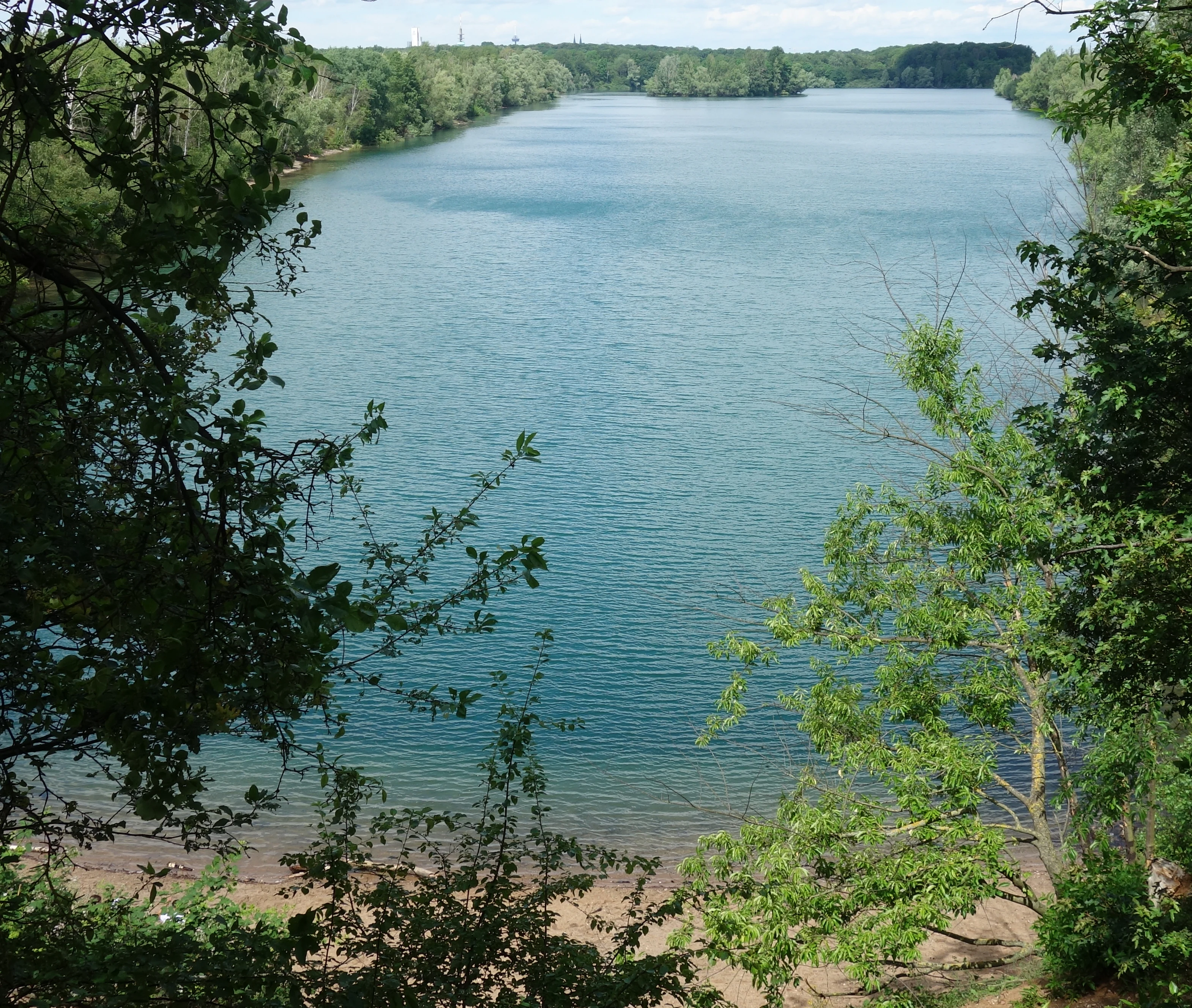 A high-angle view looking down at a calm, blue lake in a nature reserve, framed by dense green tree branches in the foreground.
