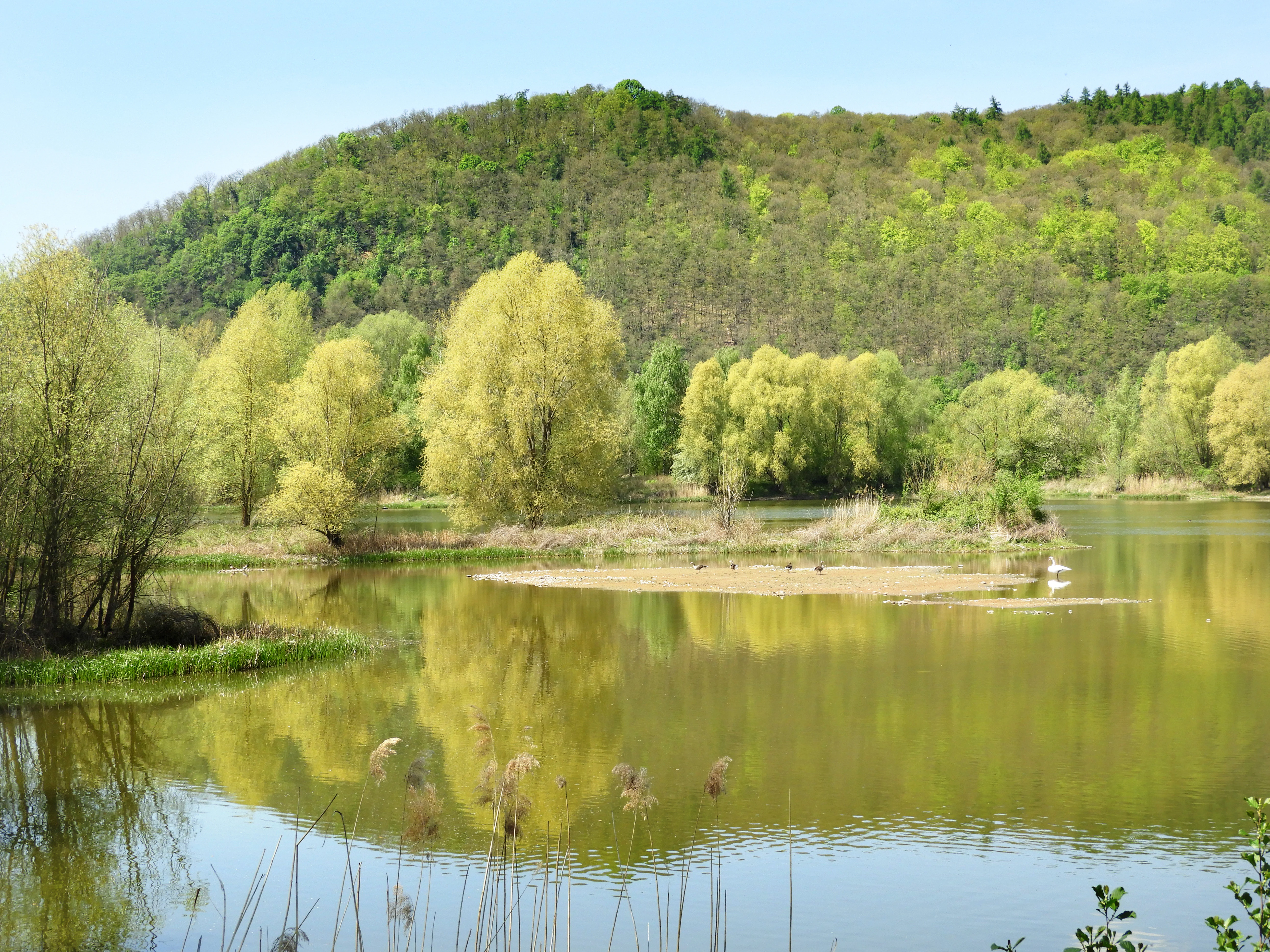 A calm, still pond with reflections of trees in the water, a small gravel island in the center, and a large, wooded hill rising in the background under a clear sky.
