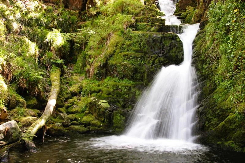 Waterfall cascading over moss-covered rocks with green vegetation and a fallen tree trunk in the foreground