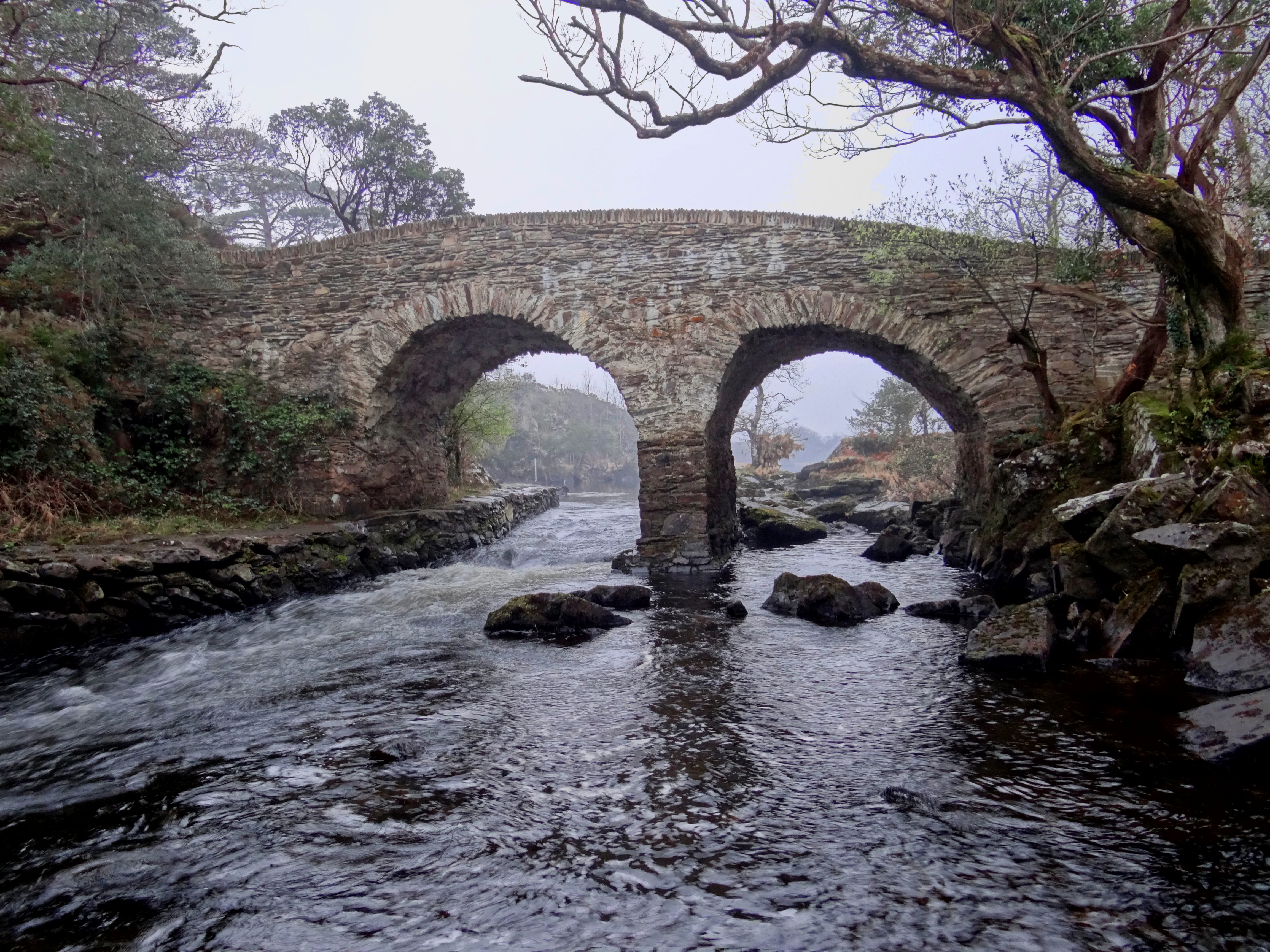 Stone bridge with two arches spanning a flowing river, surrounded by trees and rocks in a misty environment