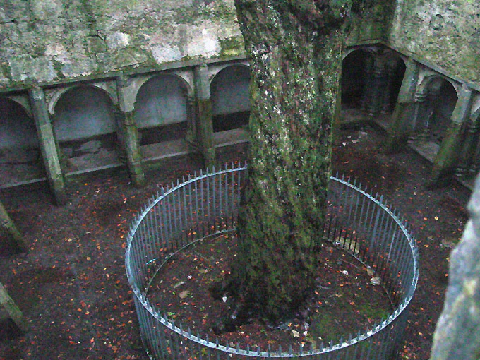 Stone arches surrounding a courtyard with a large tree enclosed by a metal fence
