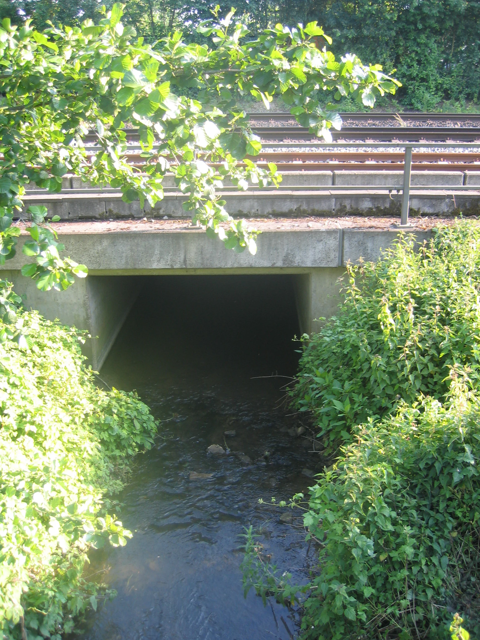 A small stream flows towards a dark concrete tunnel under a railway track, with green bushes and overhanging tree branches framing the scene.