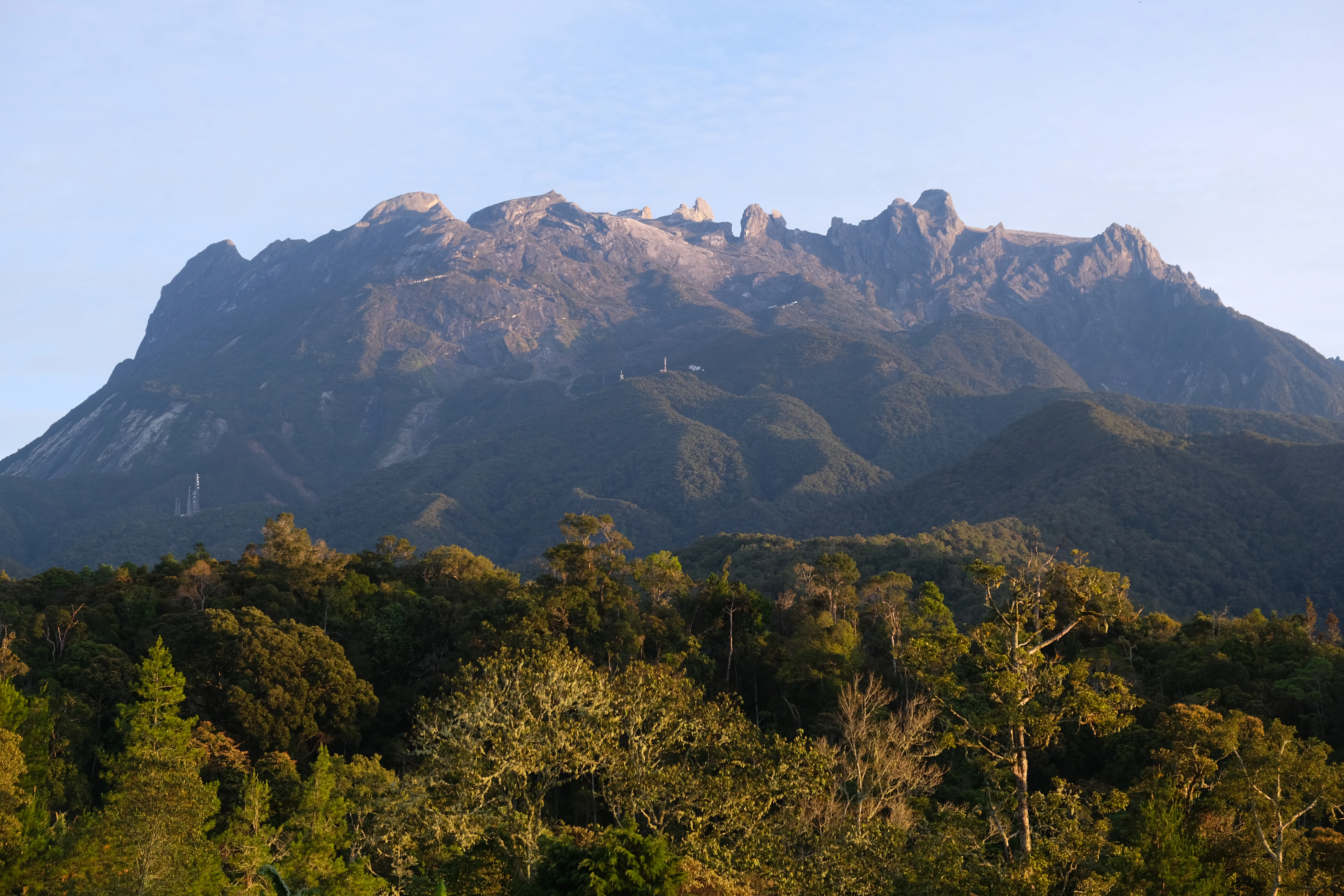 A wide shot of the rugged, rocky peaks of Mount Kinabalu rising above a dense, sunlit tropical forest canopy.