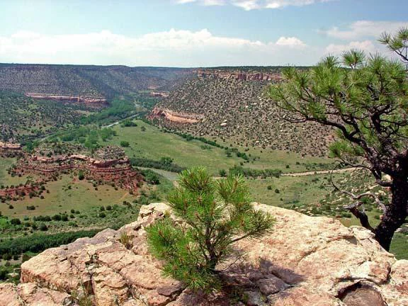 A wide-angle, eye-level photograph looking over the Canadian River Canyon featuring steep red sandstone cliffs, valley floor with greenery, and scrubby pine trees in the foreground.