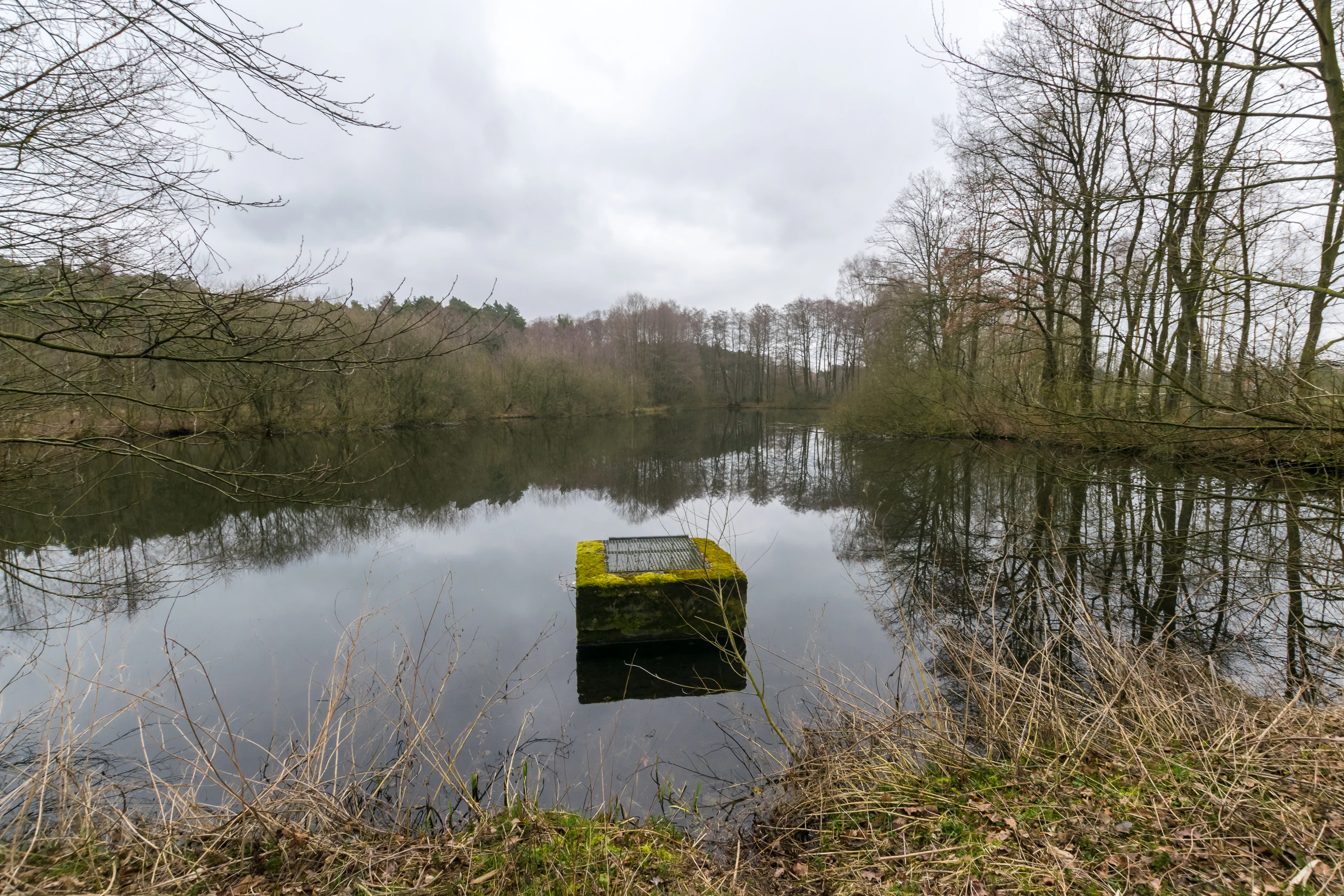 A square, moss-covered concrete overflow or water management structure sits in the middle of a still pond, surrounded by trees on an overcast day.