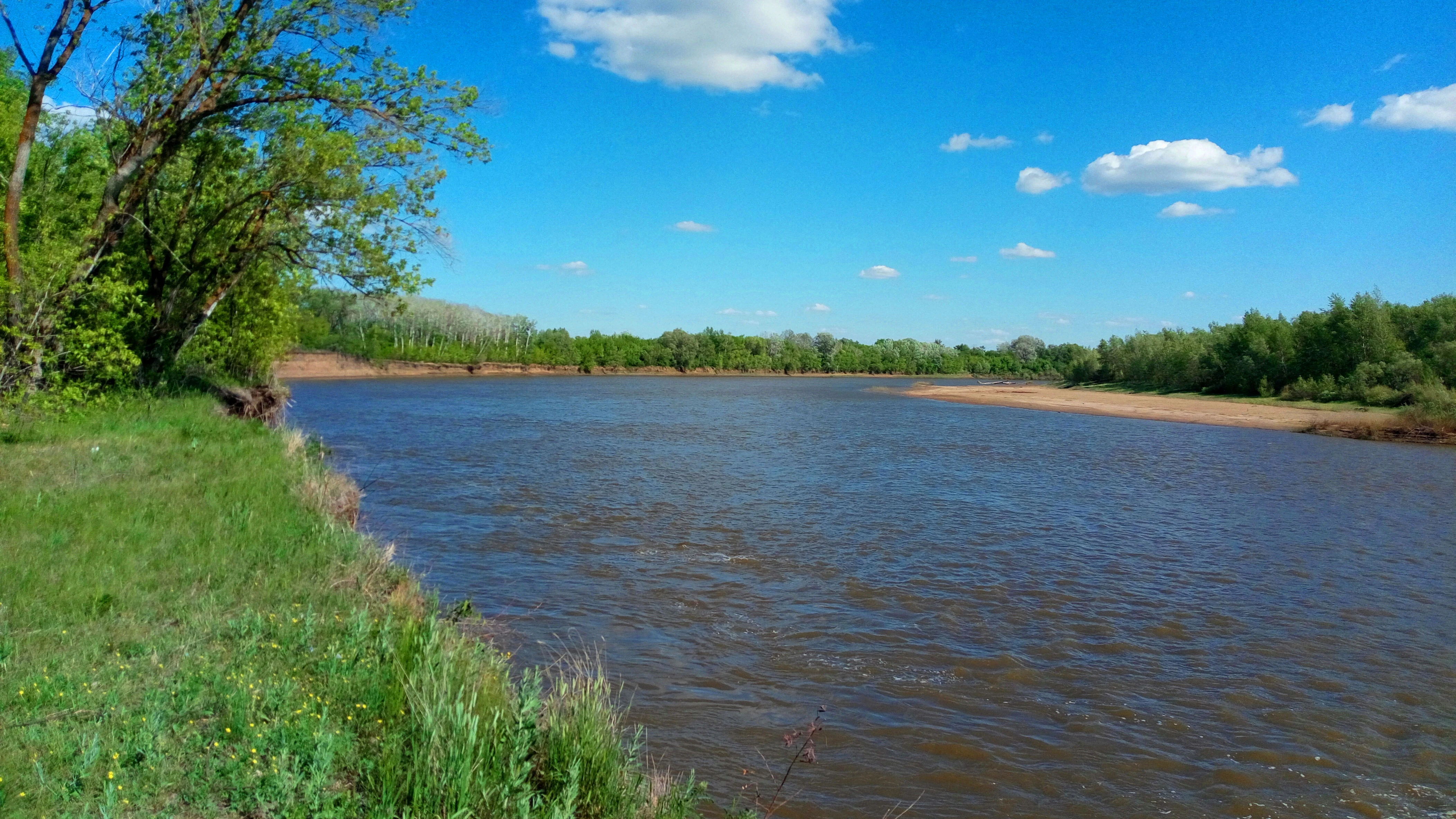 A wide view of a brown river flowing between green, tree-lined banks under a bright blue sky with scattered clouds.