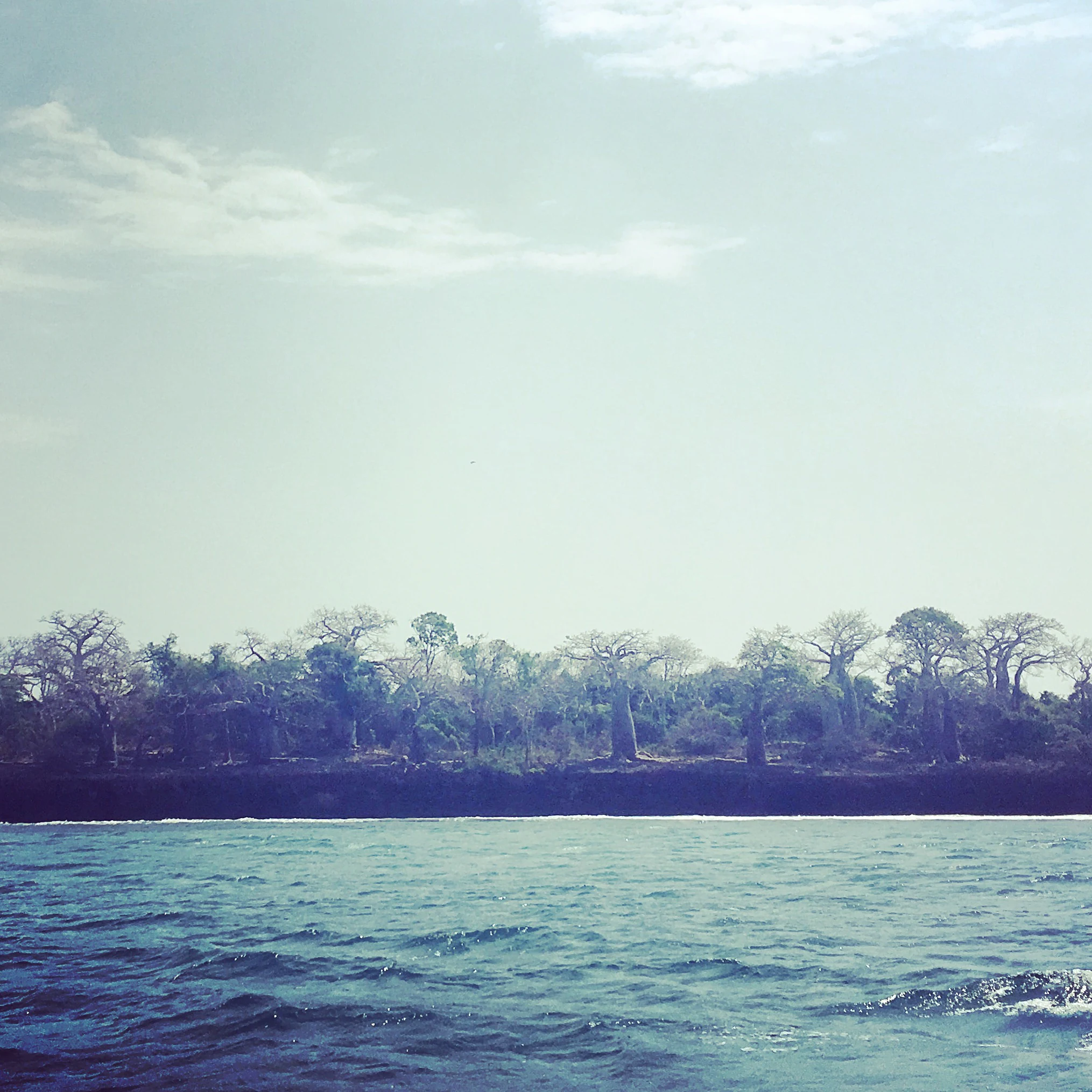 Blue water with gentle waves in the foreground and a tree-lined shoreline under a partly cloudy sky