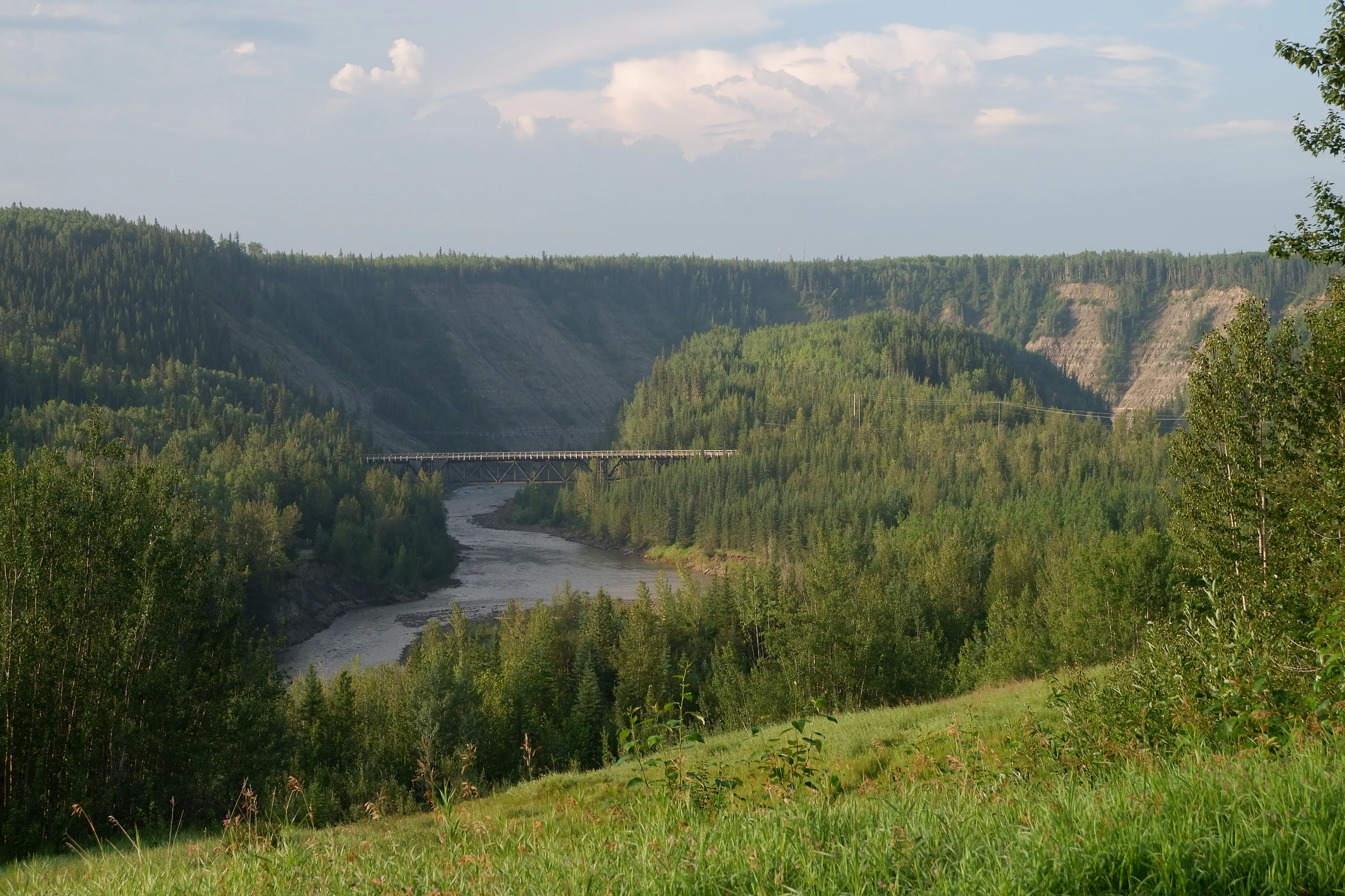 A wide shot of a forested river valley with a wooden bridge crossing the river in the distance, viewed from a grassy hillside.