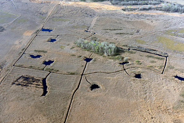 Aerial view of a flat grassy plain with scattered small water bodies and visible paths or trails