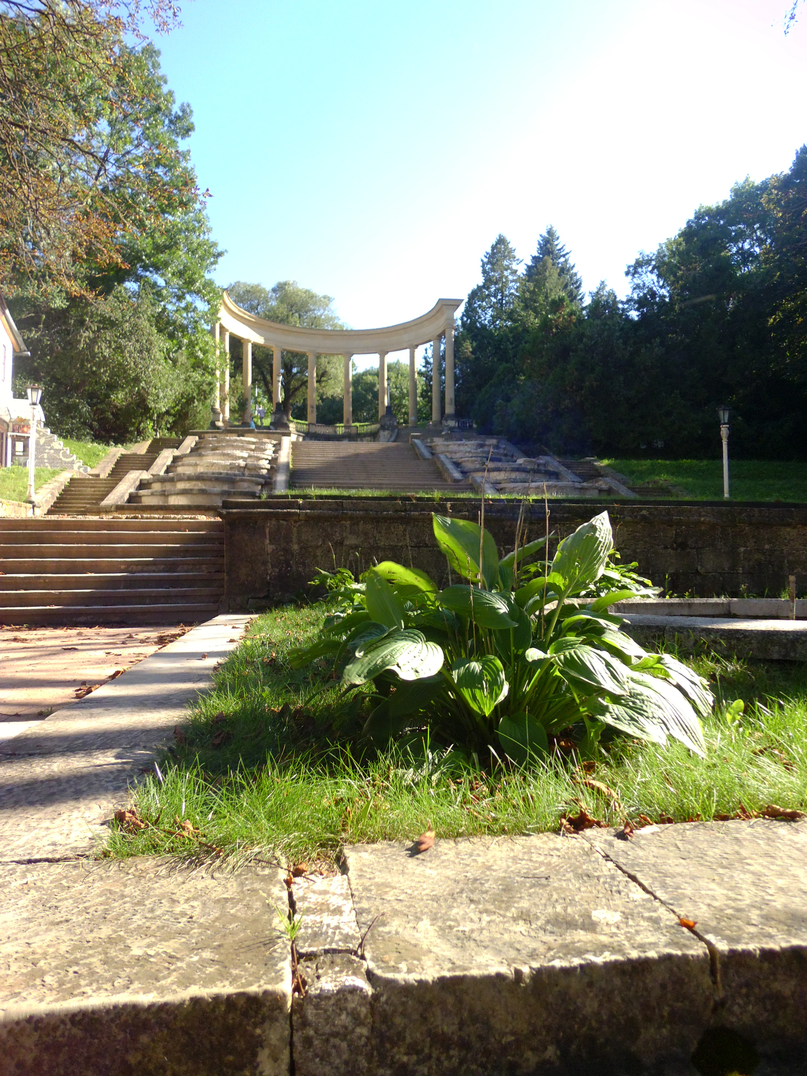 A low angle view of a wide outdoor stone staircase leading up toward a curved, neoclassical colonnade structure surrounded by trees.