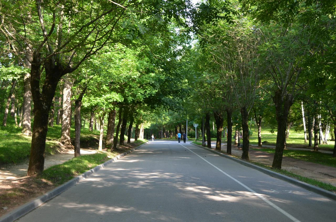 A wide, paved walking path stretches into the distance, flanked by rows of tall green trees creating a canopy over the walkway.