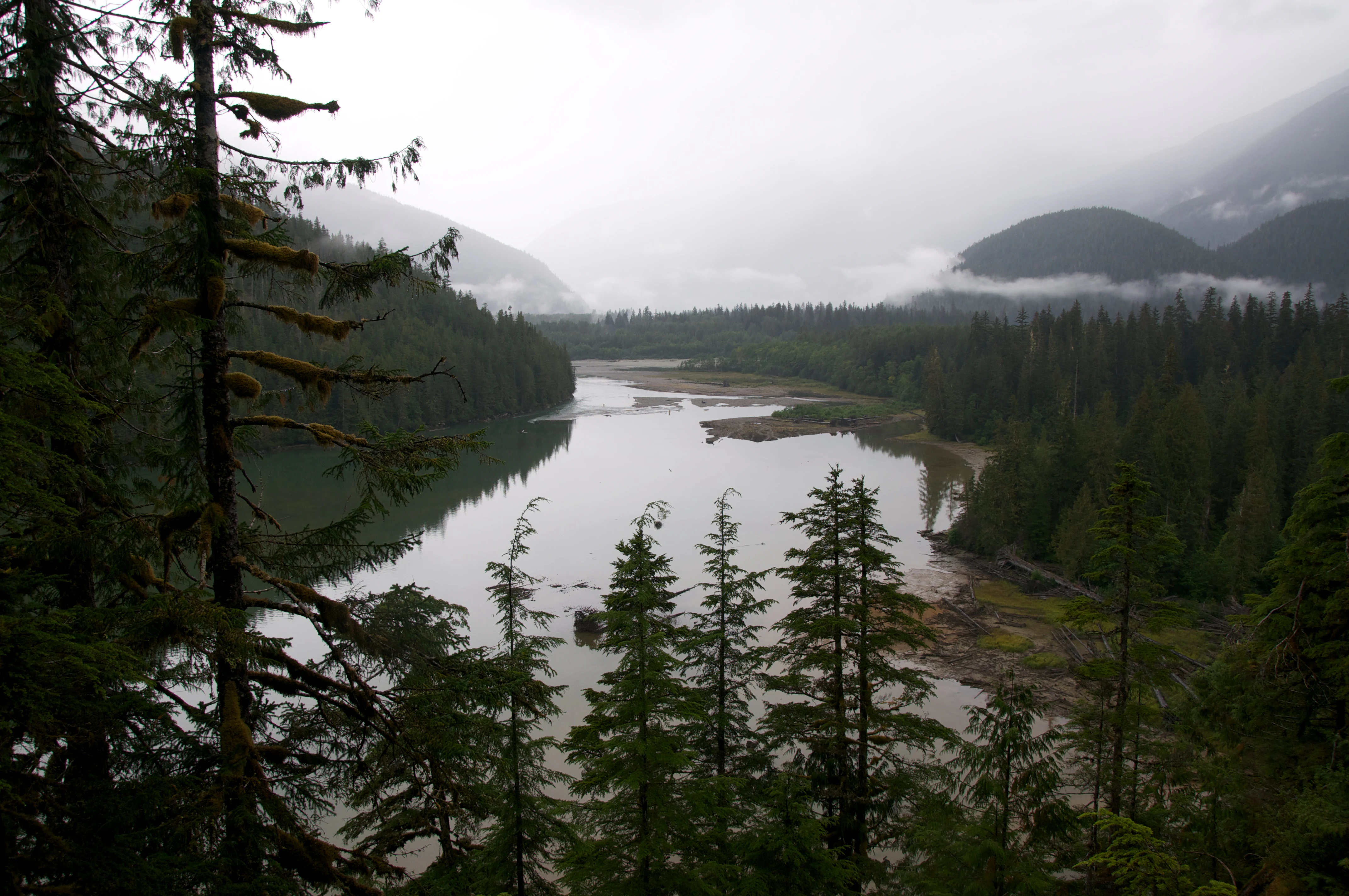 A wide, elevated landscape view of a calm, gray lake surrounded by dense evergreen forests and misty mountains under an overcast sky.