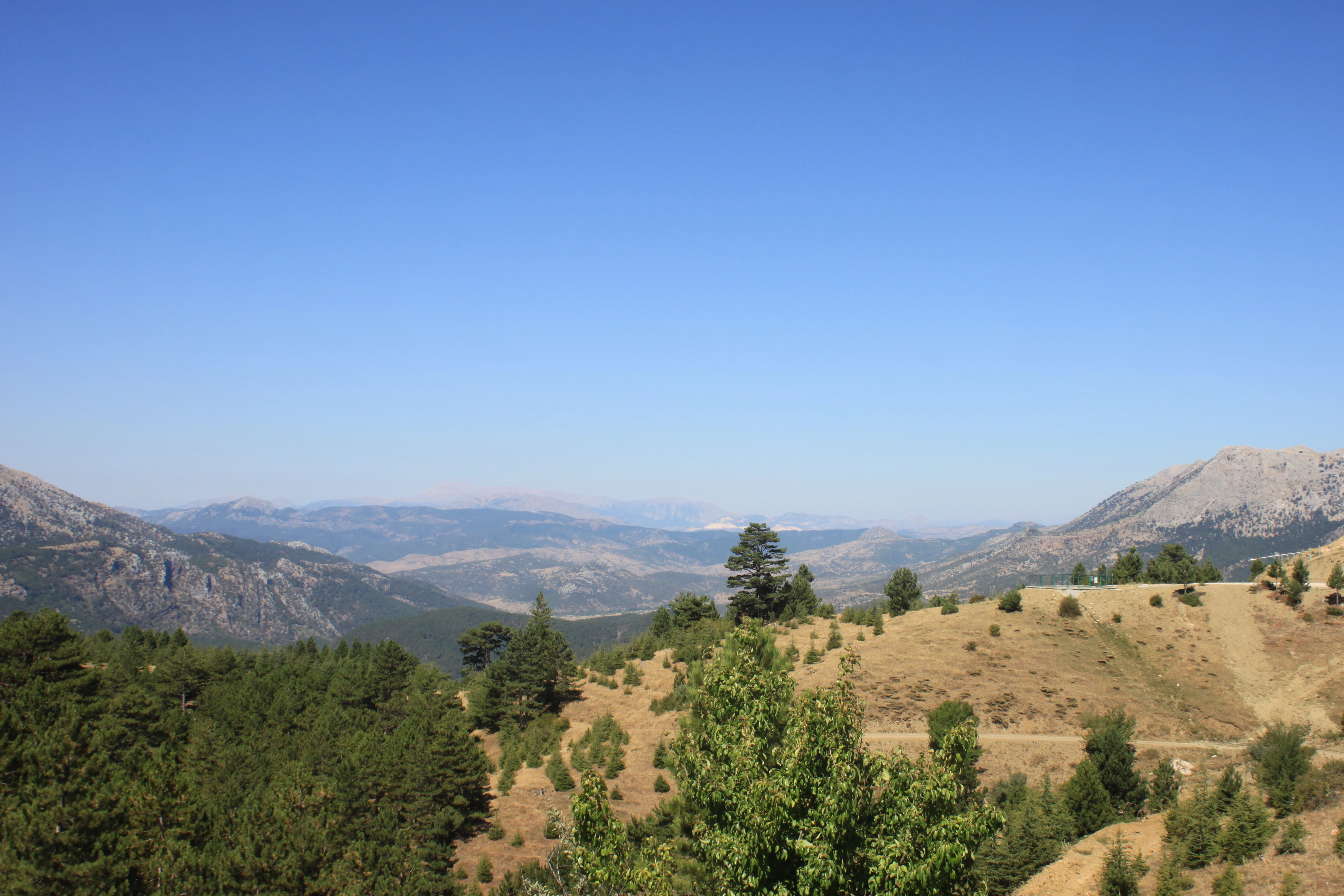 Landscape view of Kızıldağ National Park with rolling hills, scattered trees, and distant mountains under clear blue sky