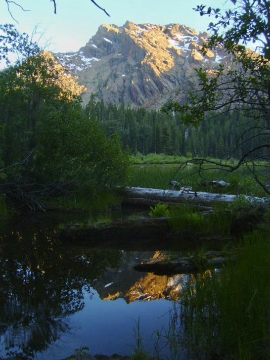 A serene mountain lake reflecting a craggy peak at sunrise, with dense forest and fallen logs in the foreground.