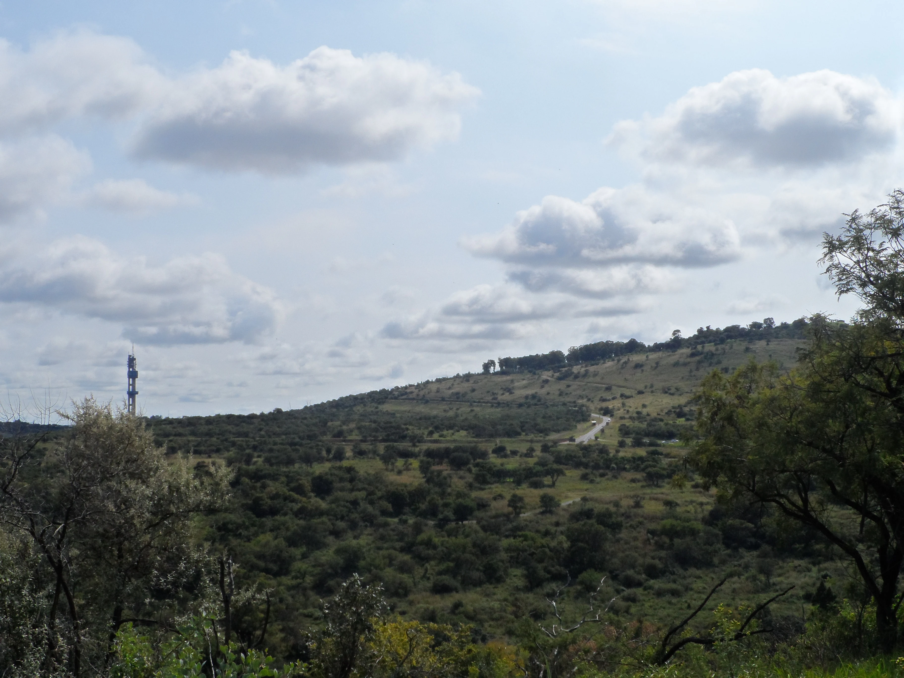 A wide landscape view of rolling hills with scattered trees, shrubs, and a winding road in the distance under a blue sky with scattered clouds.